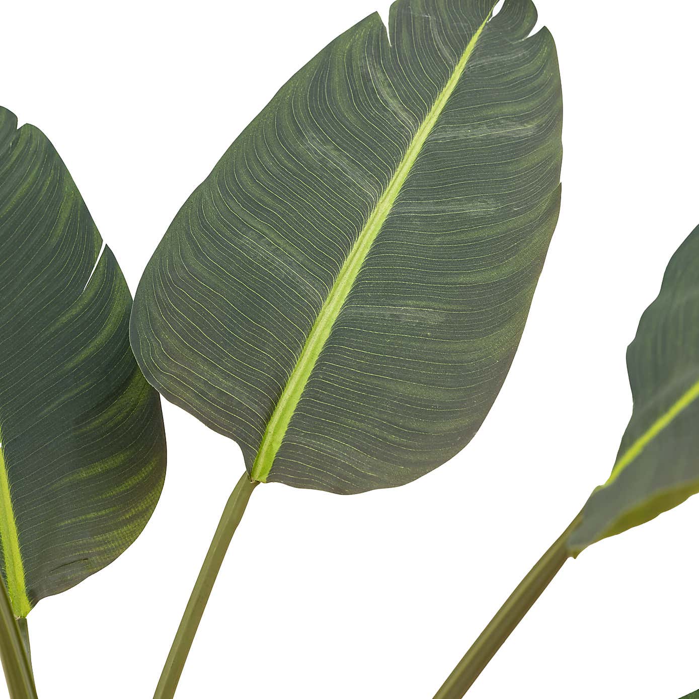 Artificial Medium Travellers Palm Tree in Black Plant Pot