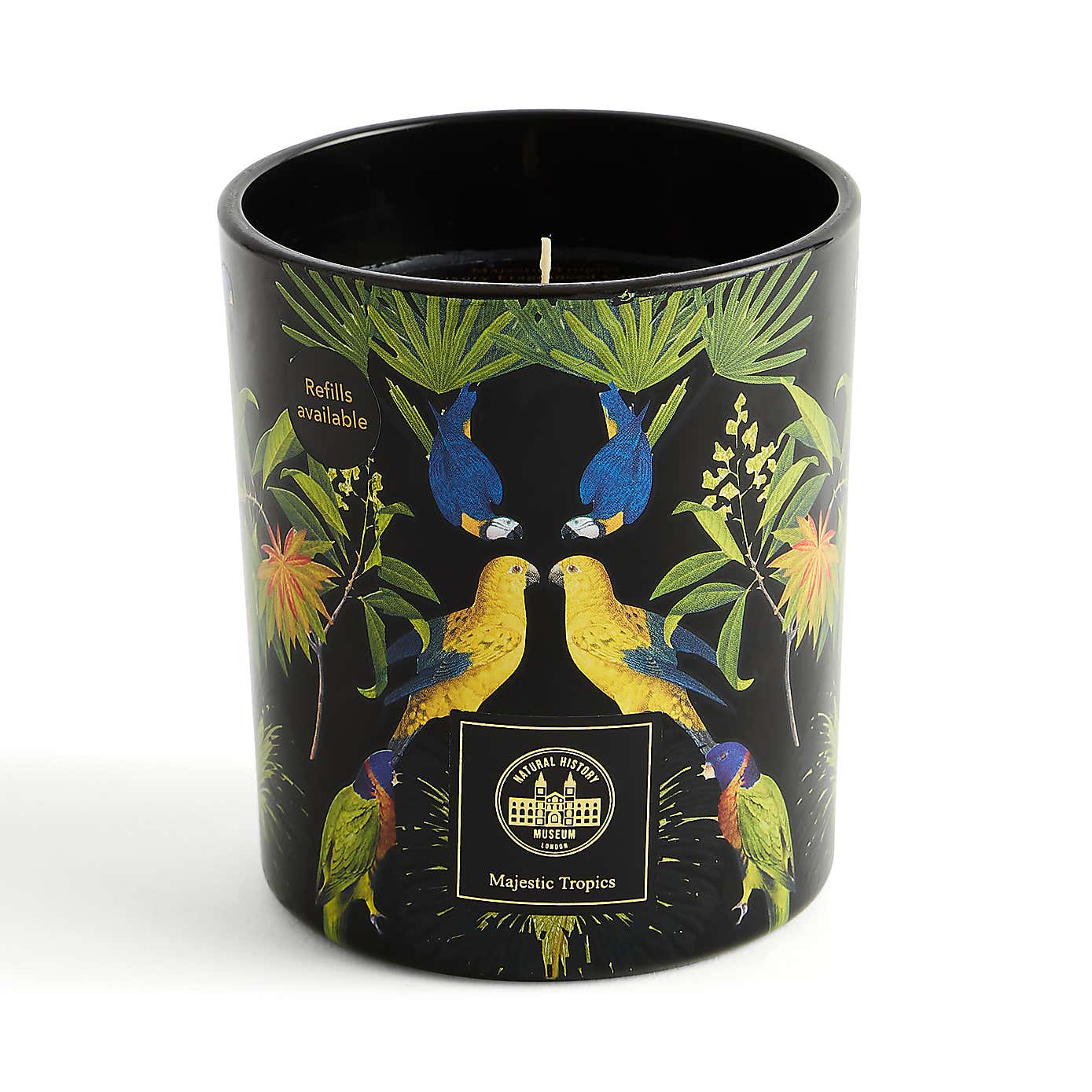 Majestic Tropics Birds Candle
