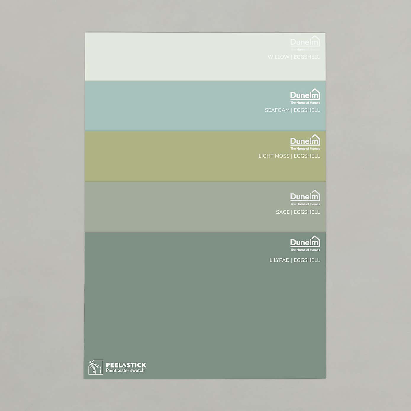 Eggshell Light Green Paint Sample Bundle
