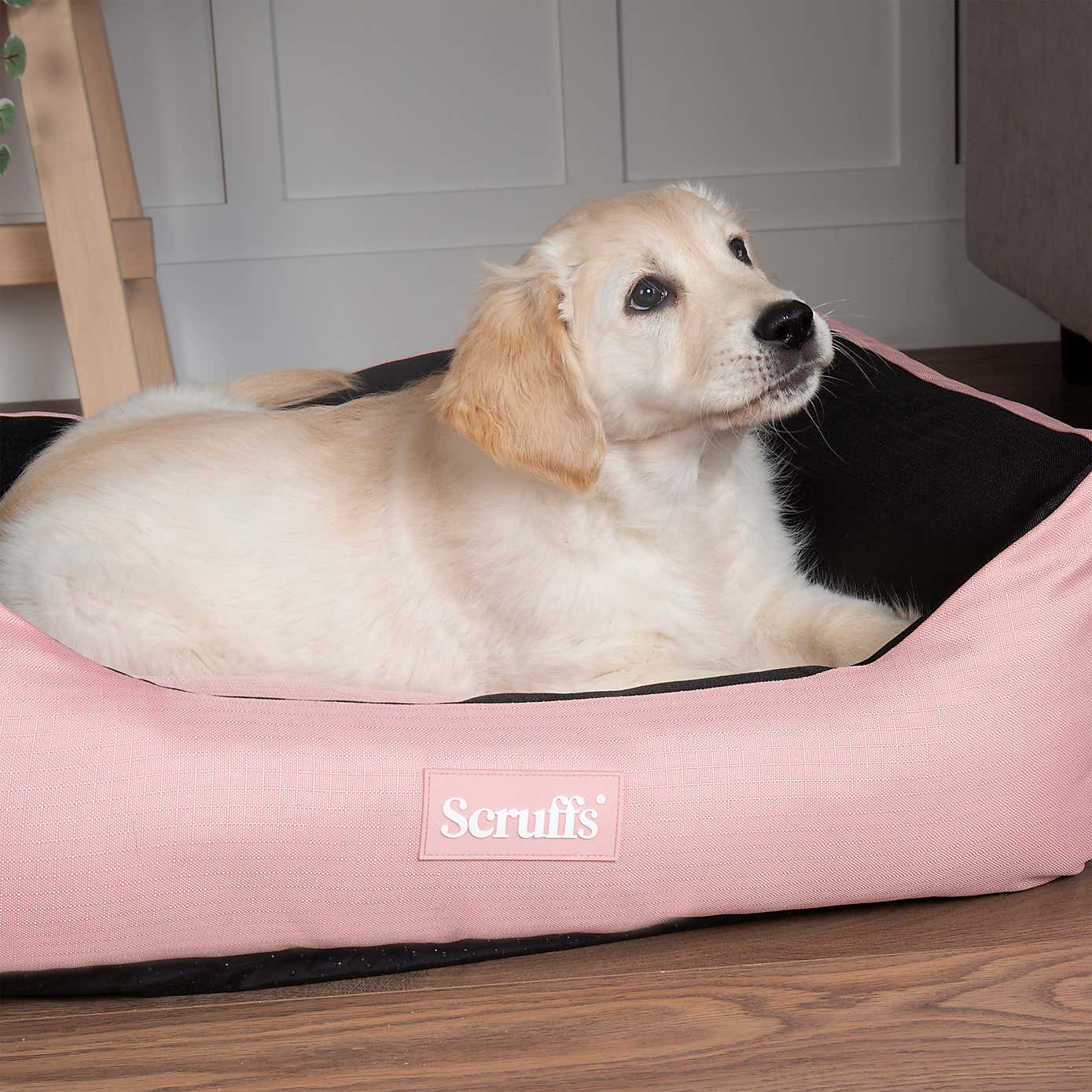 Scruffs Expedition Box Bed