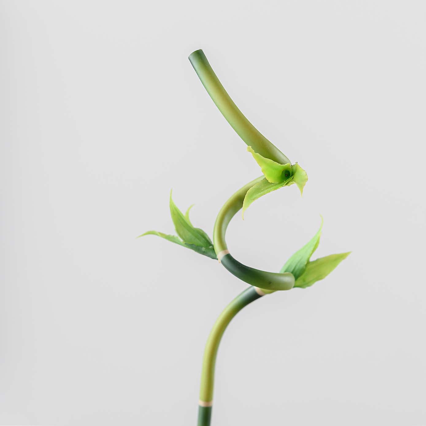 Artificial Green Lucky Bamboo Stem