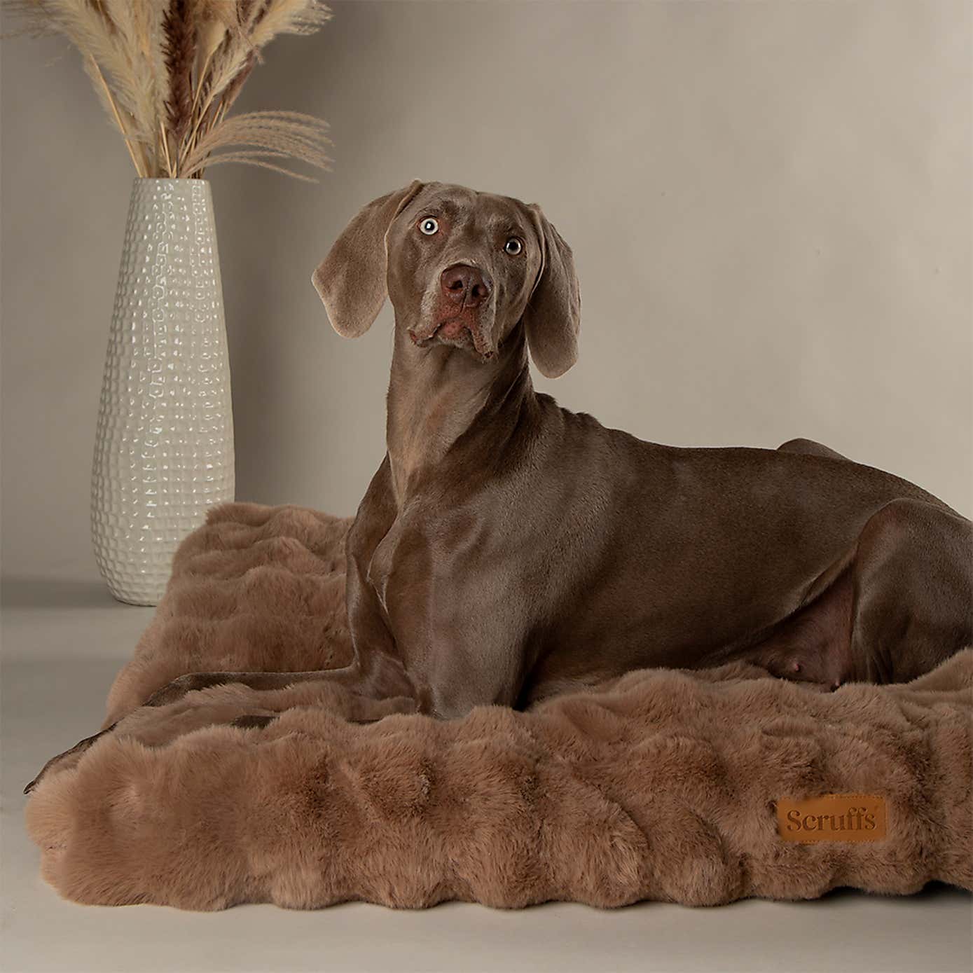 Scruffs Luxurious Alpine Dog Mattress