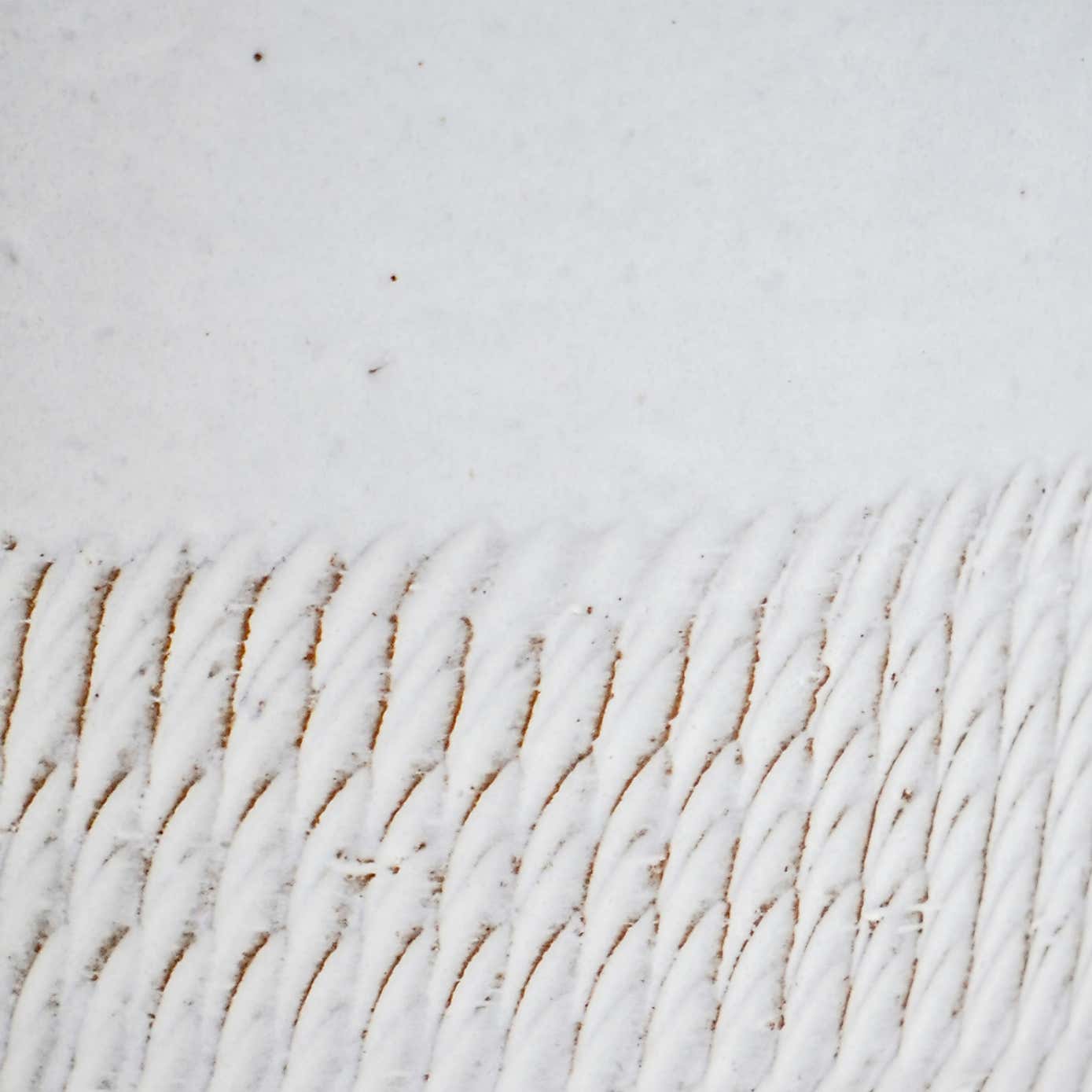 Camellia Scalloped Edge Ceramic Plant Pot