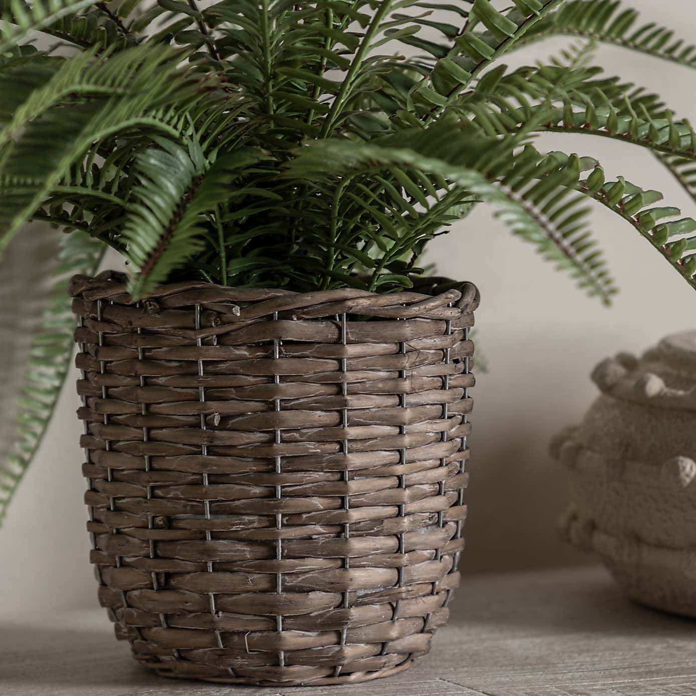 Artificial Fern in Wicker Pot