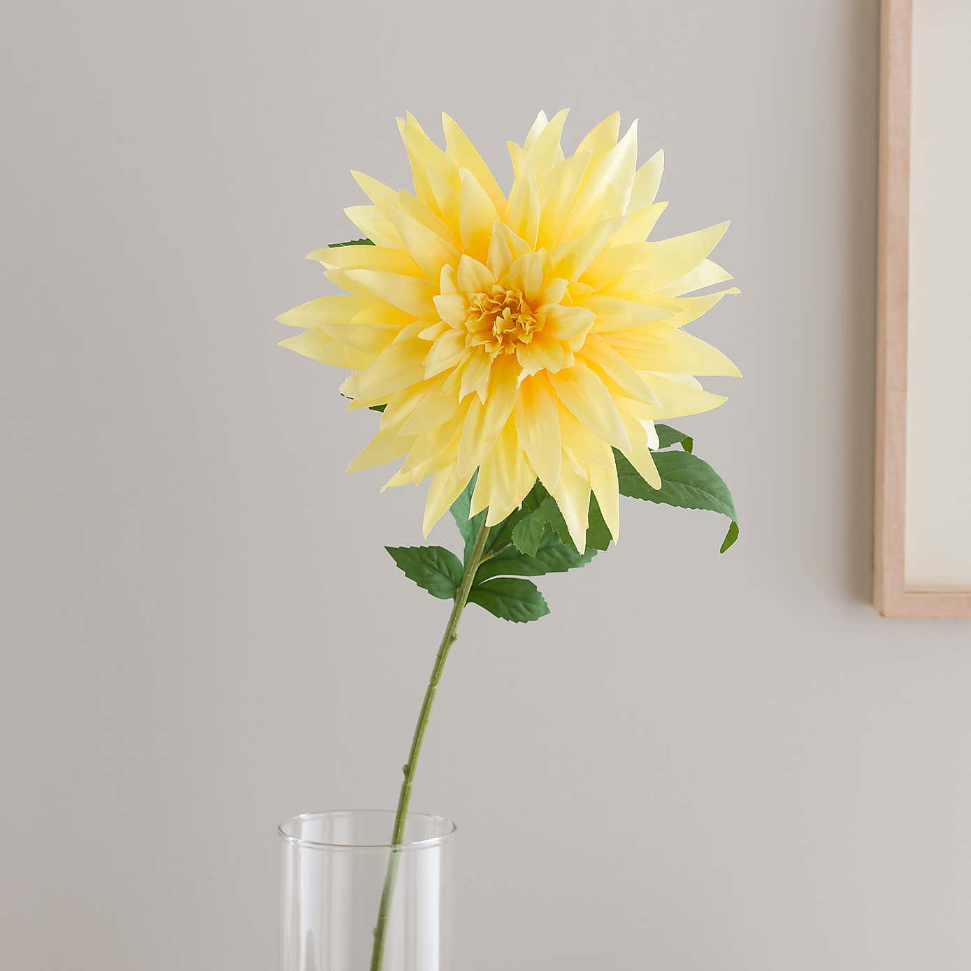 Yellow Dahlia Stem