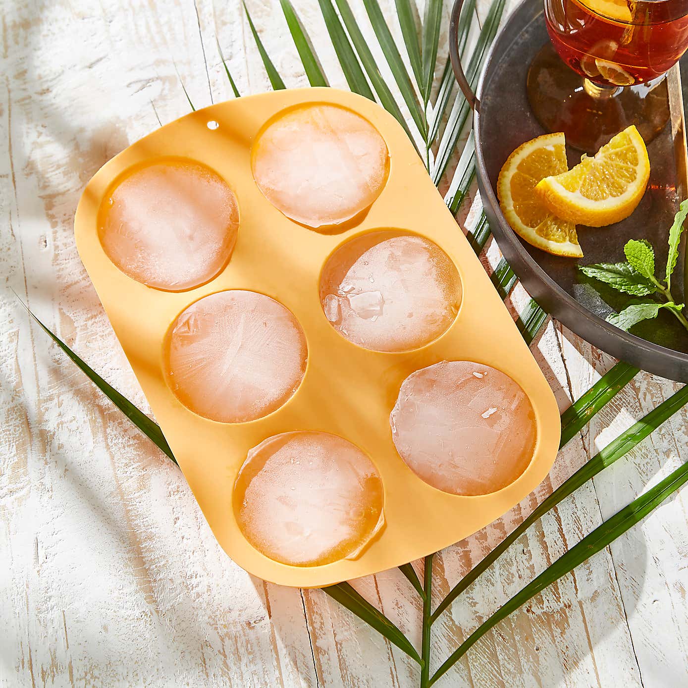 Fruit Slice Ice Cube Mould