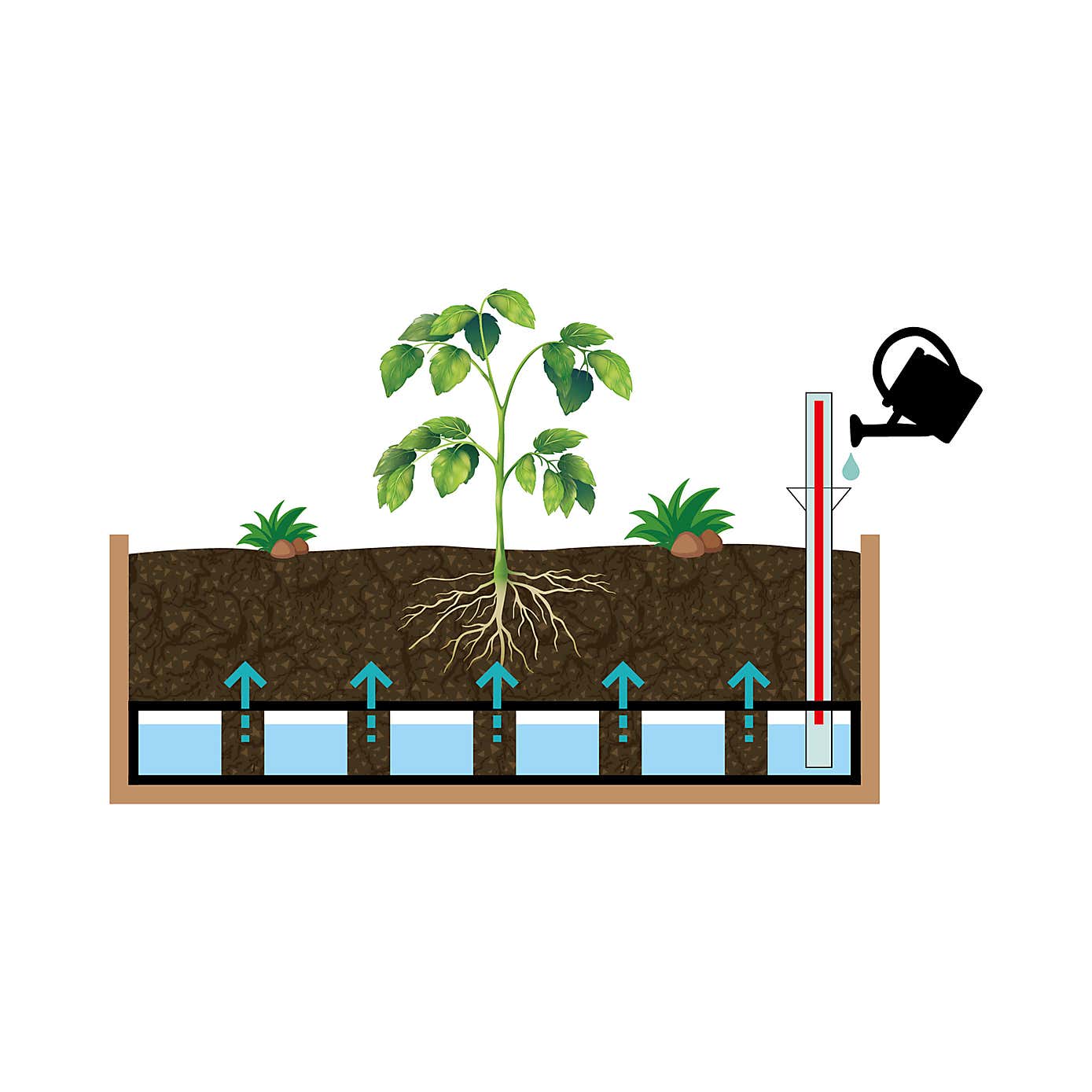 VegTrug Small Wall Hugger Self Watering Kit