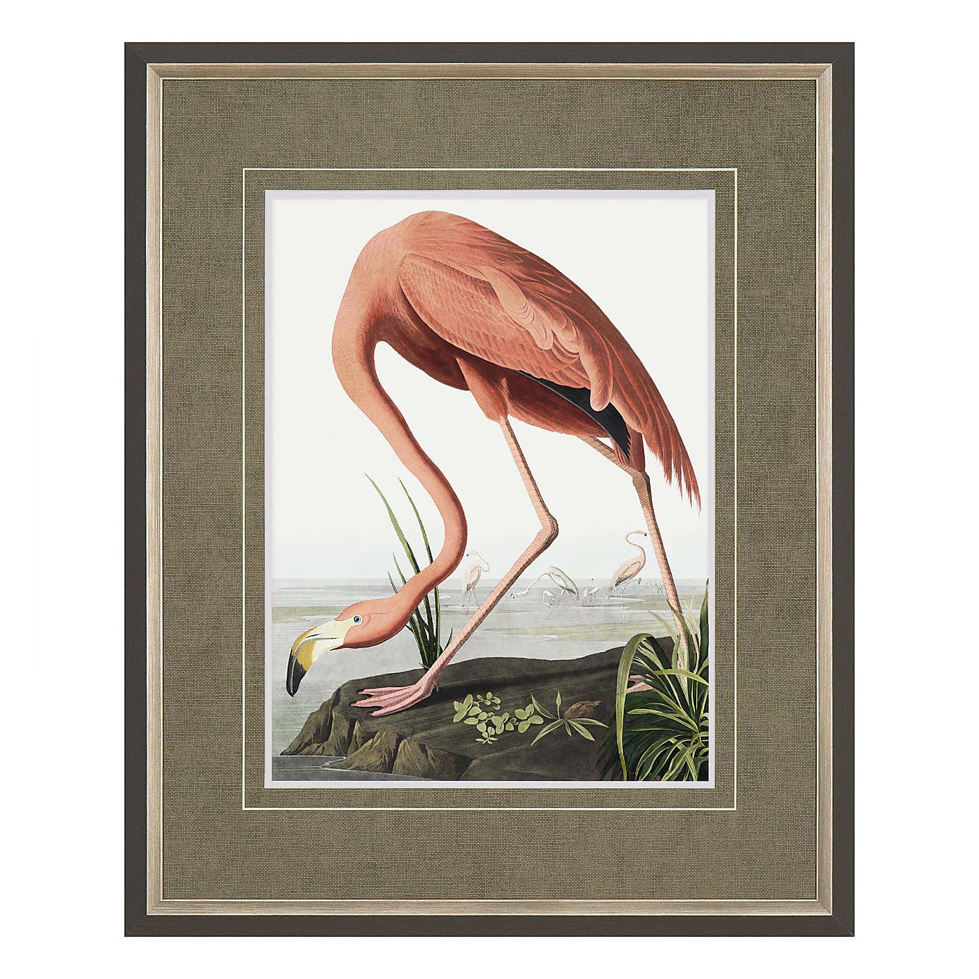 Cedar & Sage Vintage Flamingo Framed Print