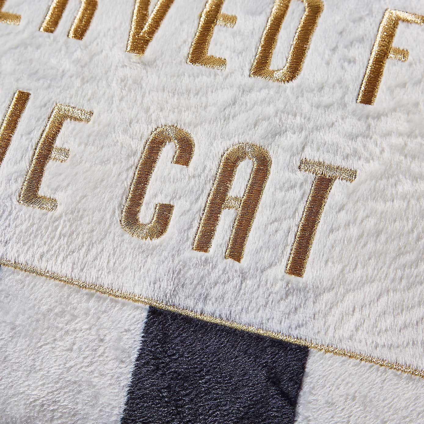 Reserved for the Cat Cushion