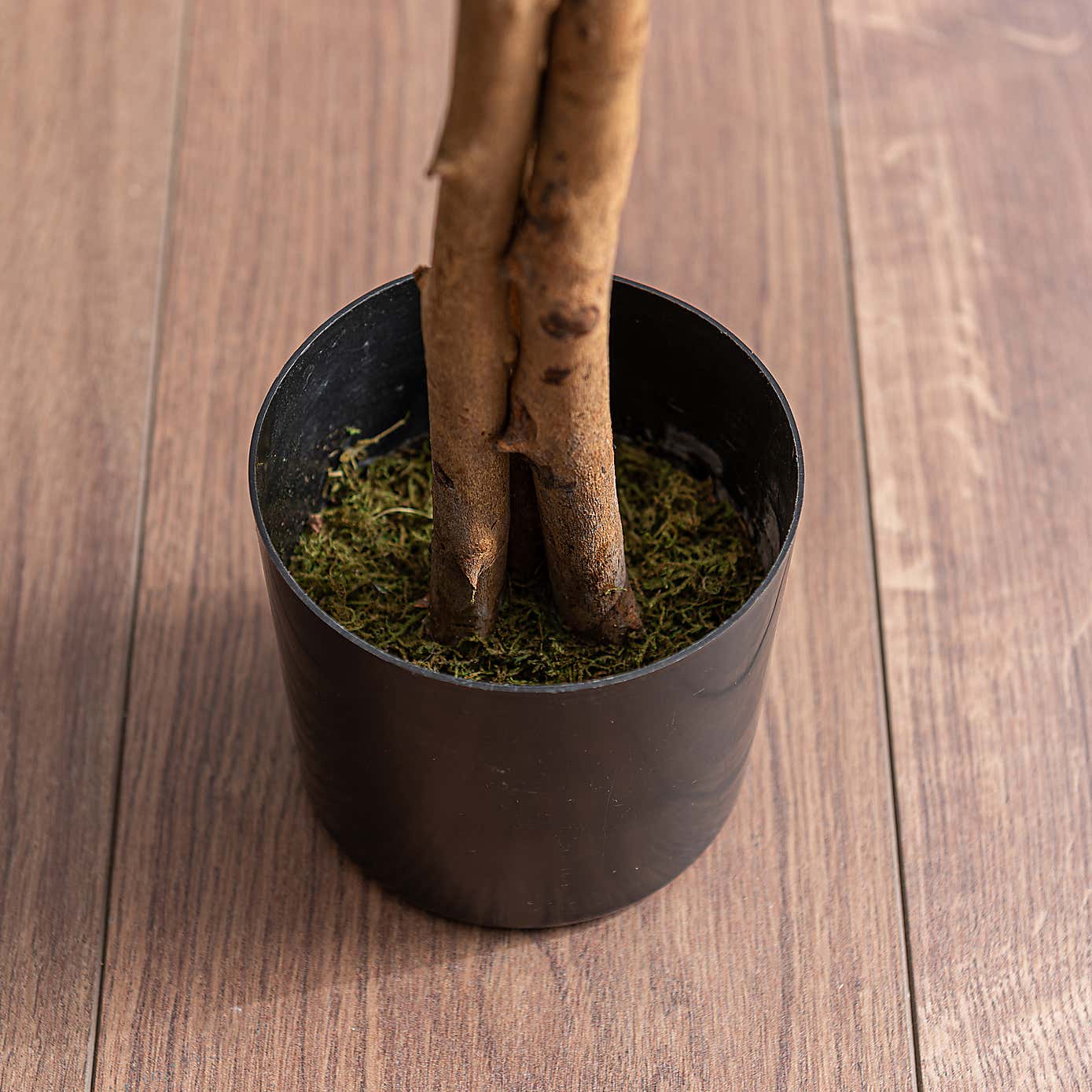 Artificial Eucalyptus Tree in Black Plant Pot