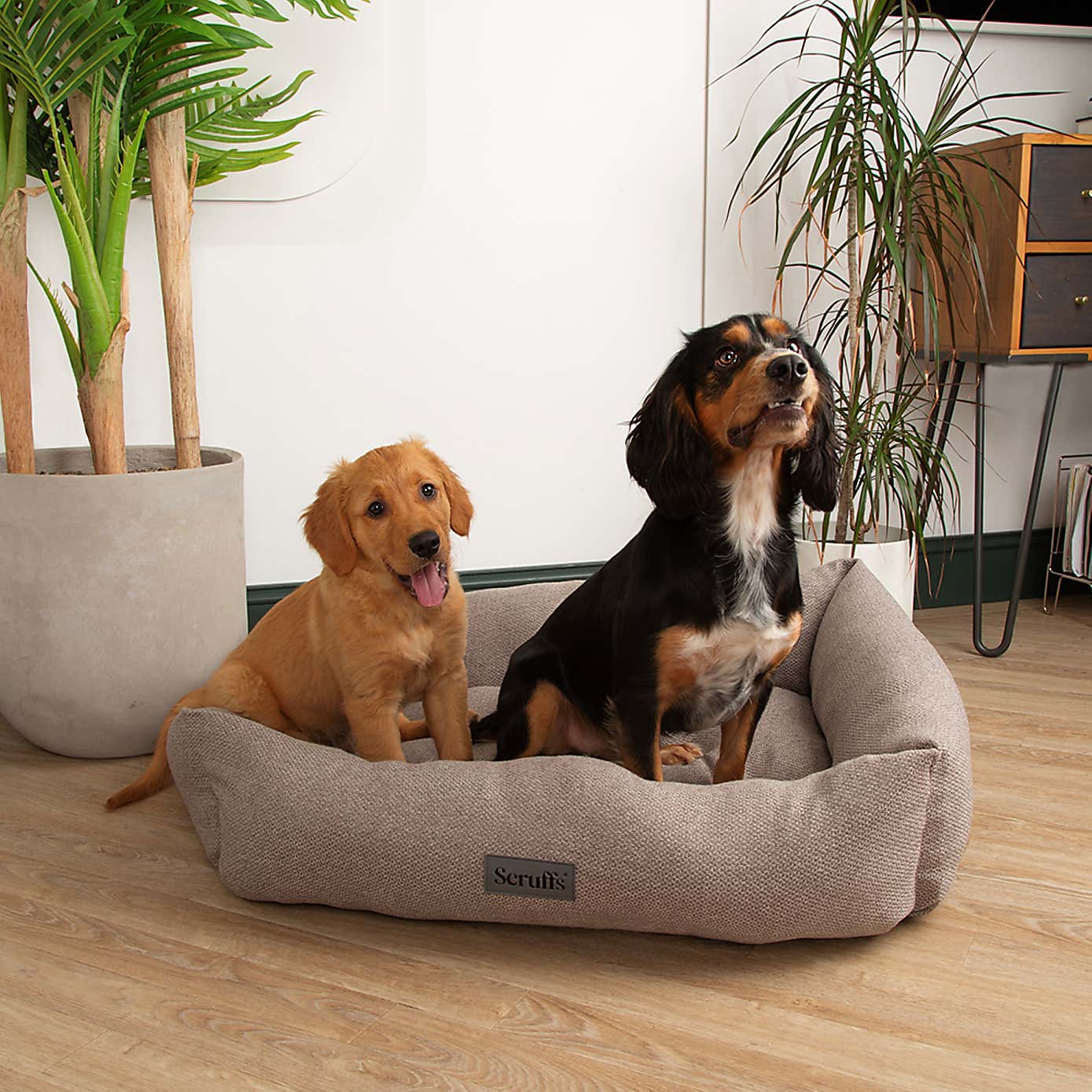 Scruffs Seattle Box Bed