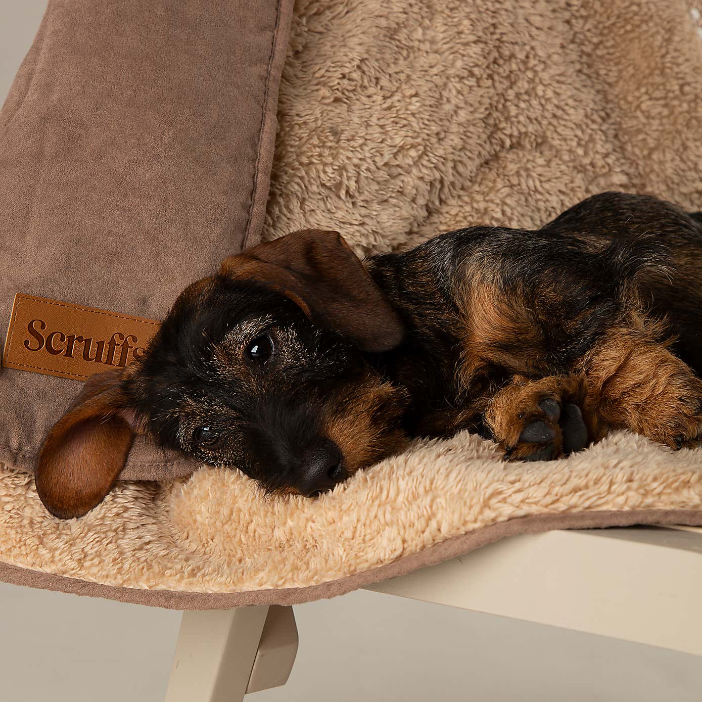 Scruffs Snuggle Blanket