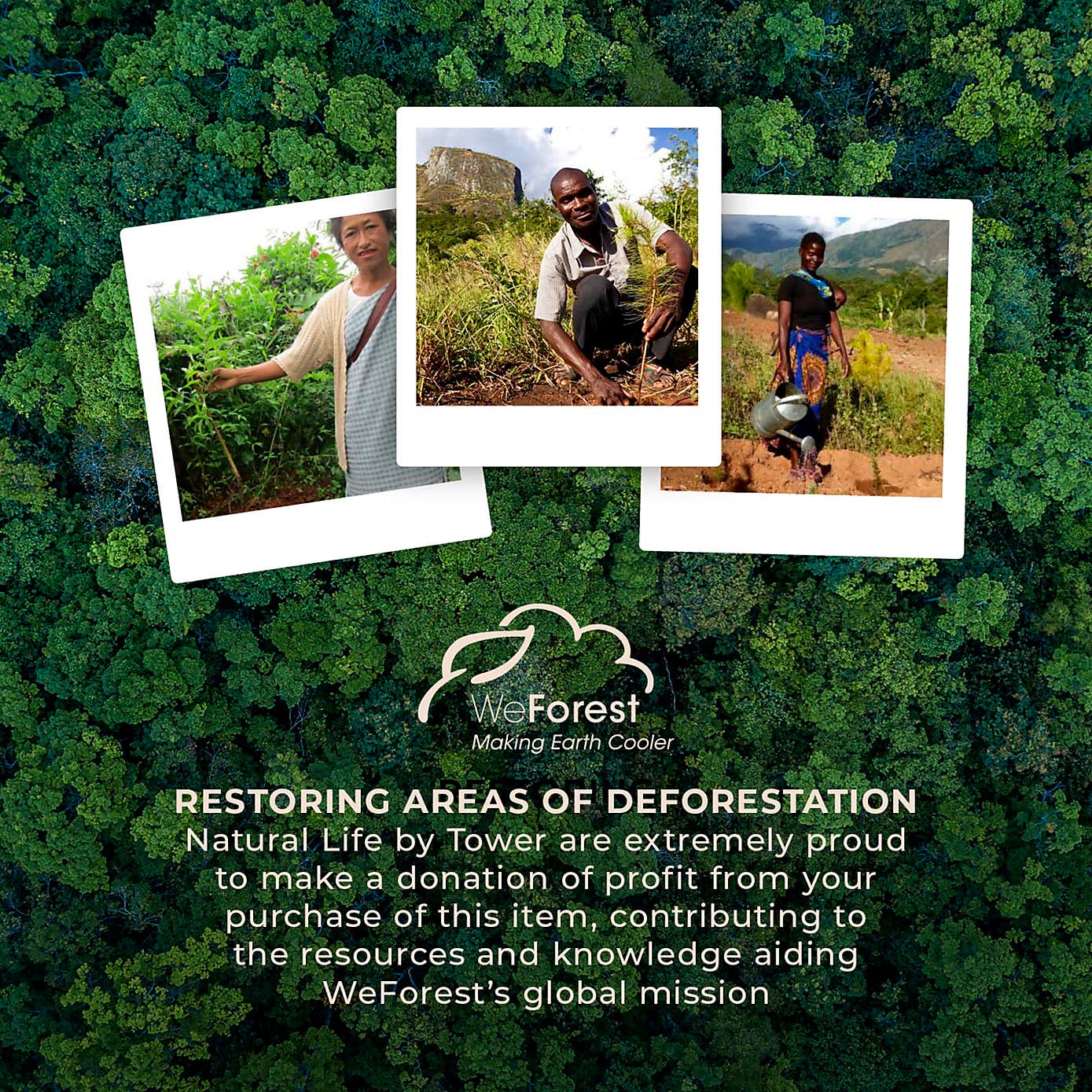 Natural Life 6 Piece Brush & Dustpan Cleaning Set