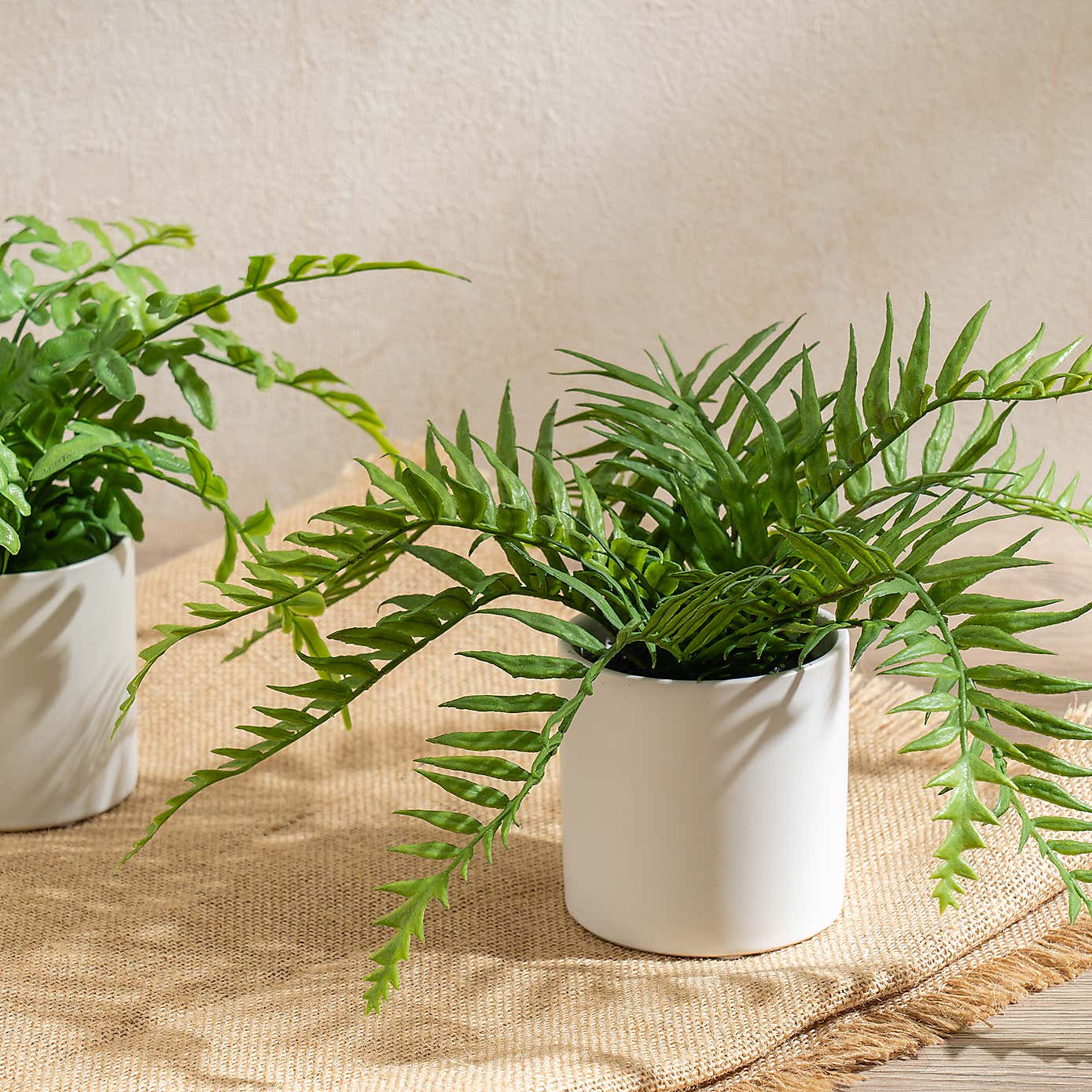 Set of 2 Artificial Ferns in Ceramic Pots