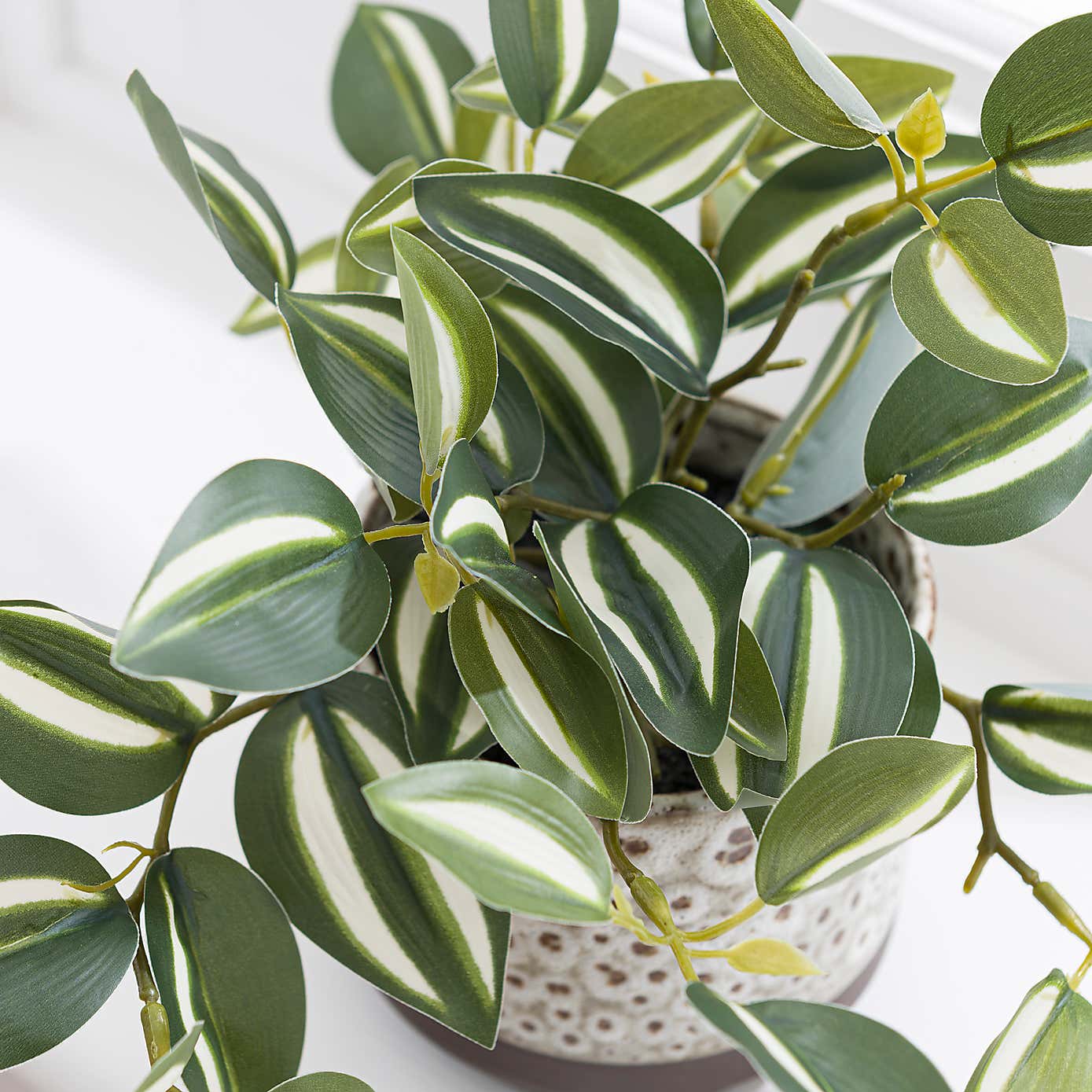 Artificial Tradescantia Plant in Speckled Ceramic Plant Pot