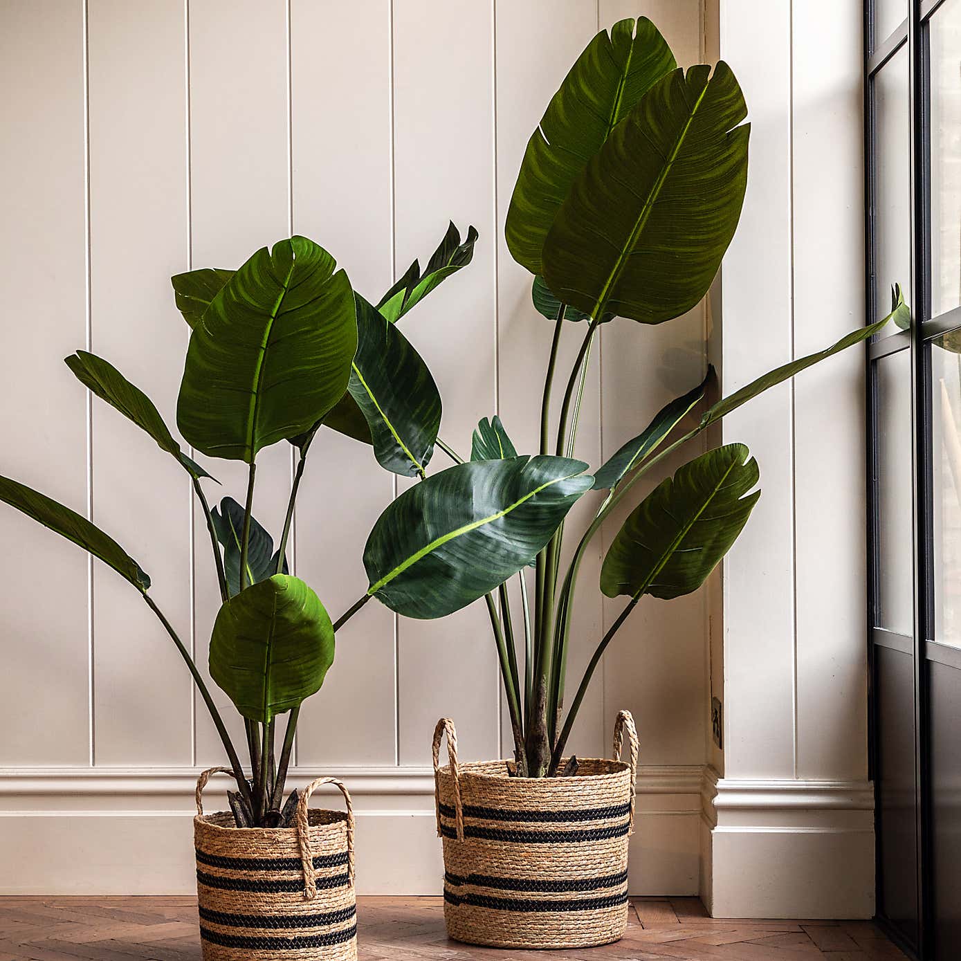 Artificial Medium Travellers Palm Tree in Black Plant Pot