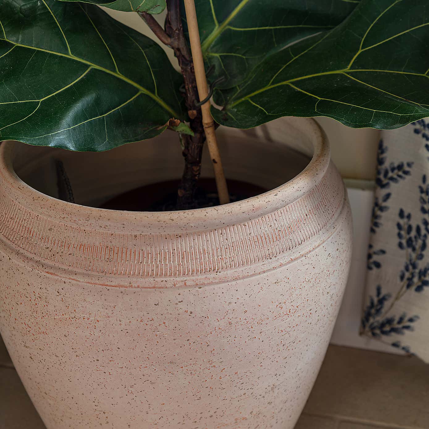 Rhea Terracotta Plant Pot