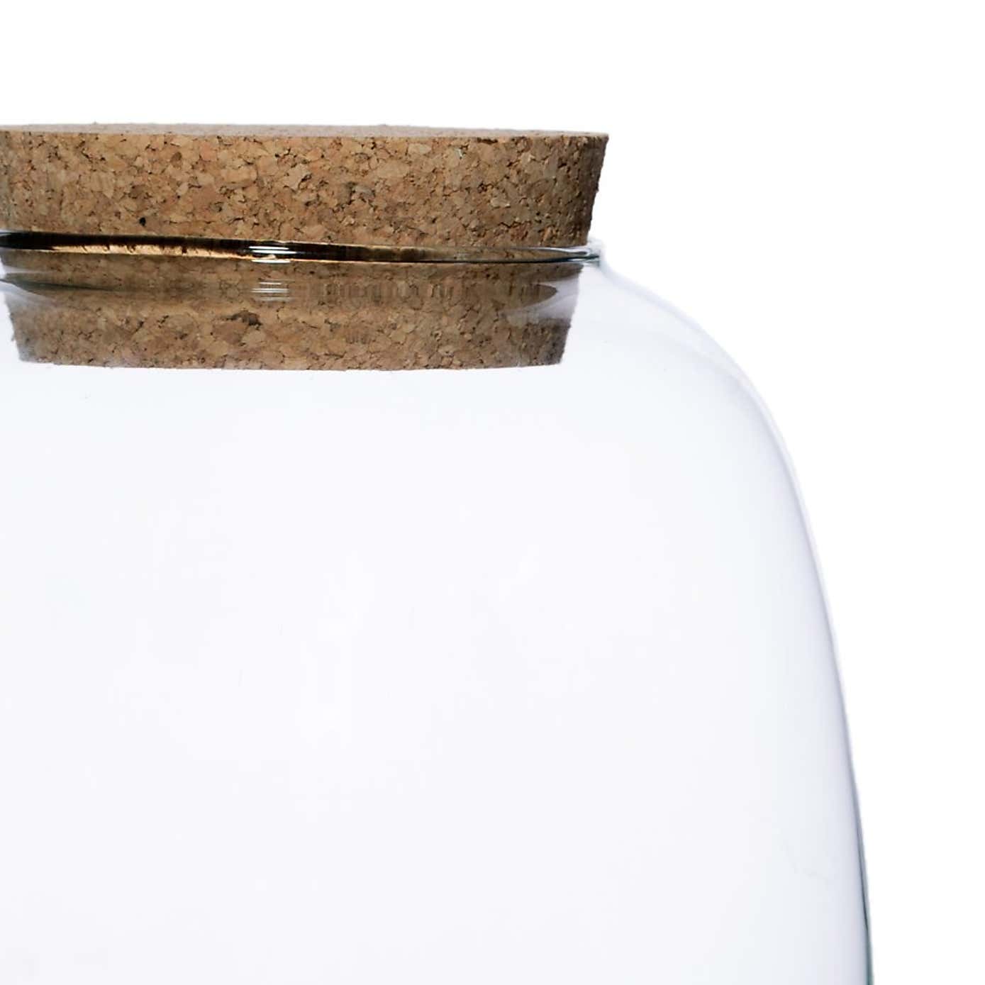 Bowl Shape Medium Terrarium DIY Kit