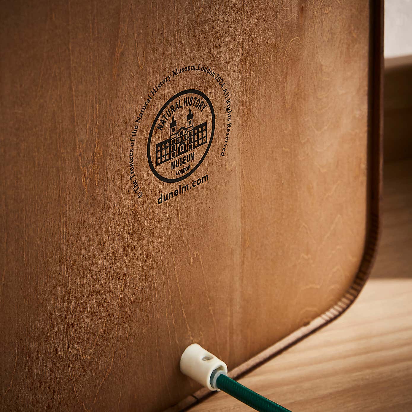 Dinosaur Layered Colour Changing Light Box