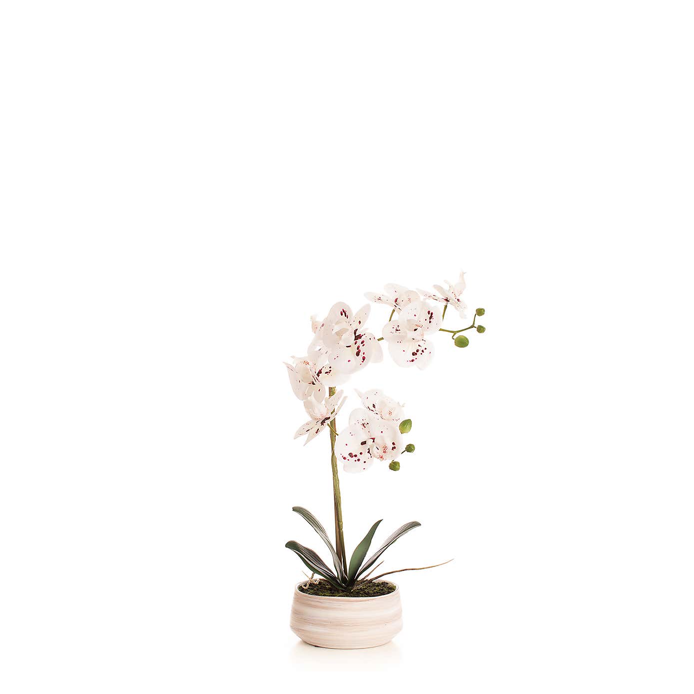 Artificial White Speckled Orchid in Beige Ceramic Plant Pot