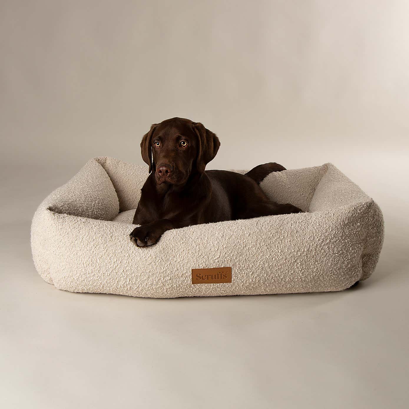 Scruffs Boucle Box Bed
