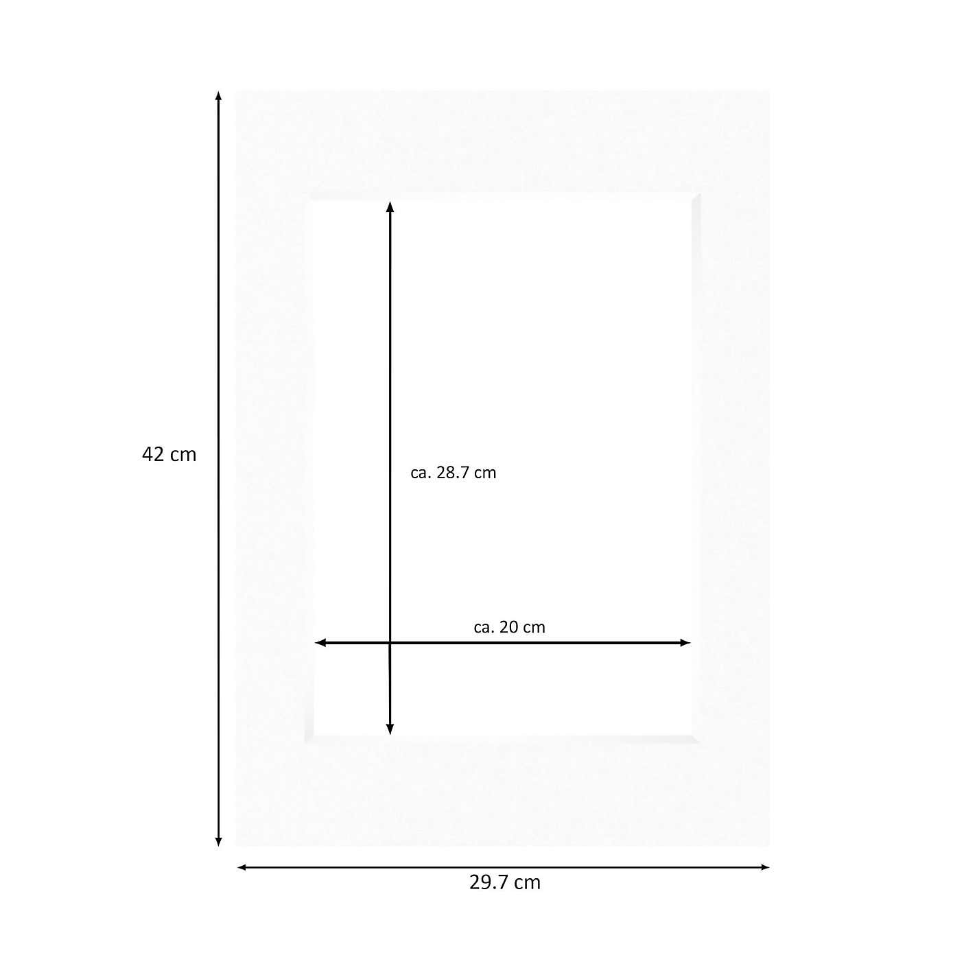 Nielsen Conservation White Picture Mount