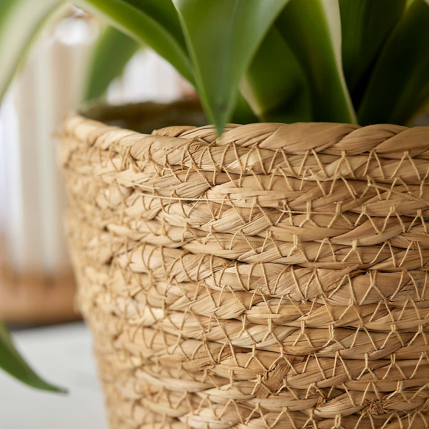 Woven Plant Pot Natural Medium