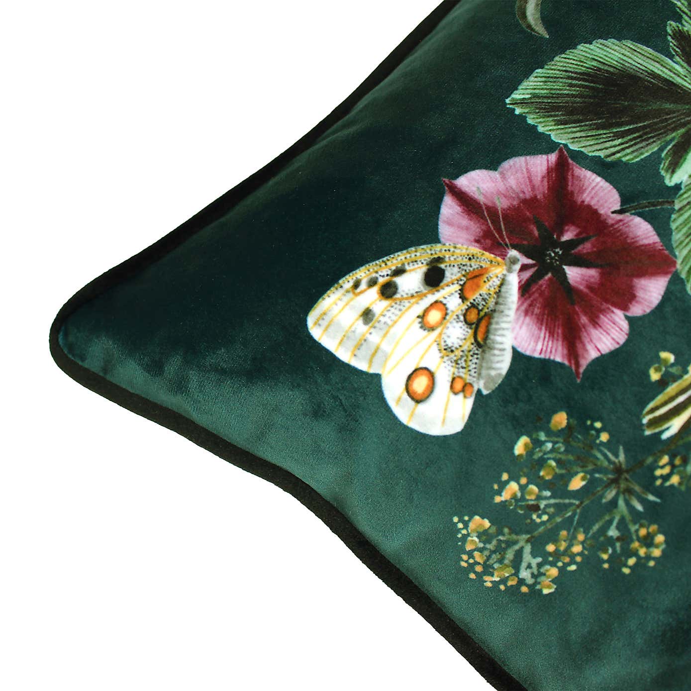 Midnight Garden Cushion