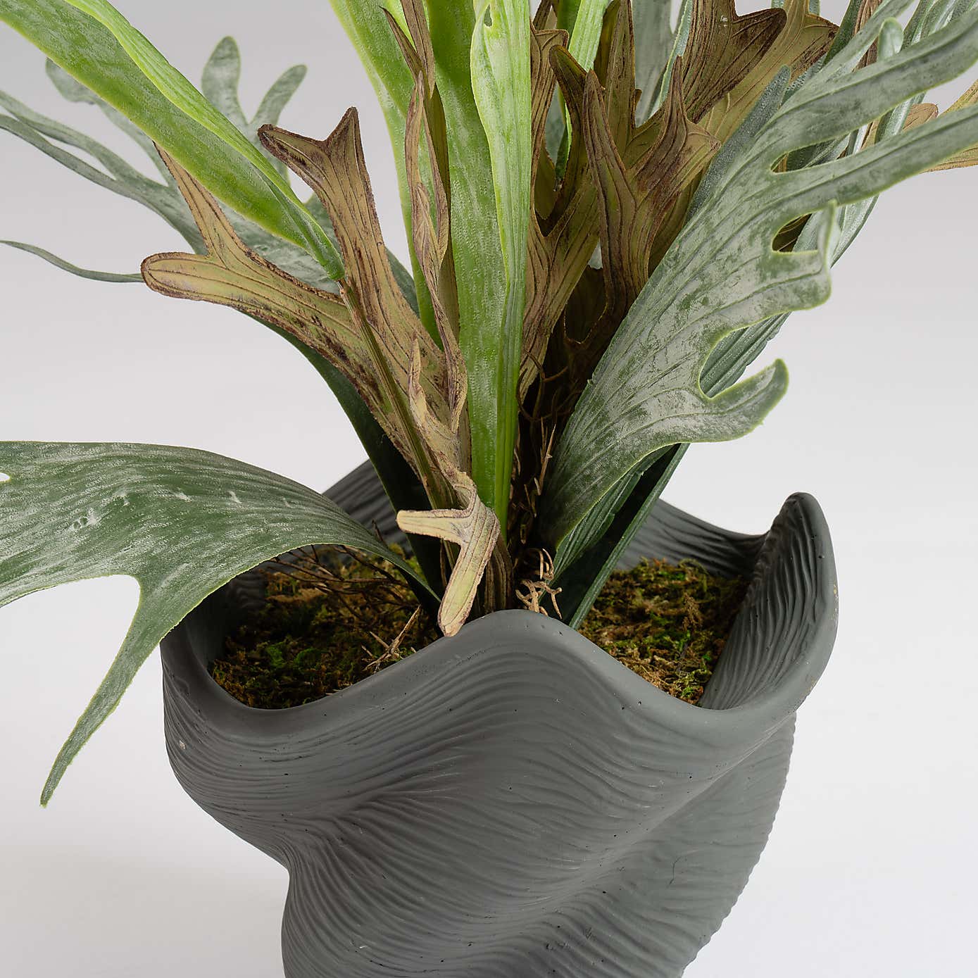 Artificial Sea Greens in Cement Shell Plant Pot