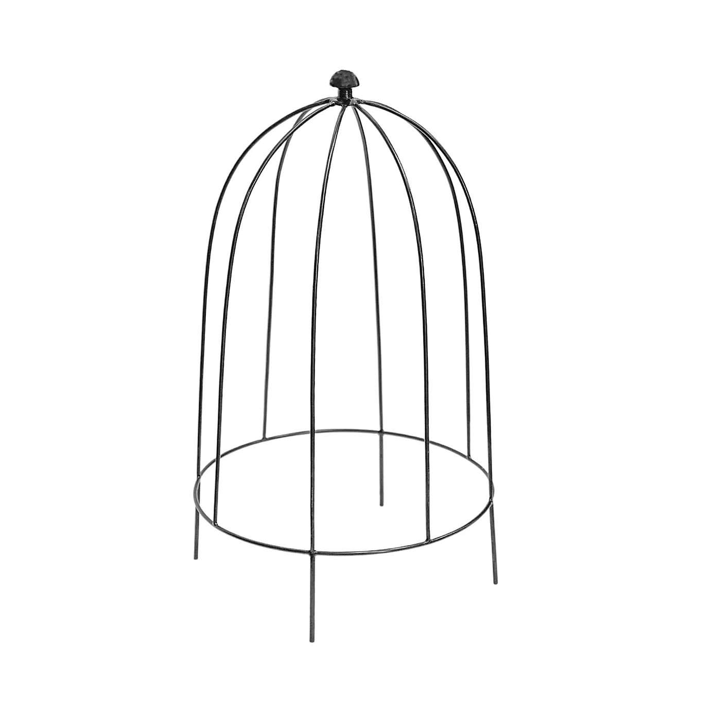 Outdoor Plant Support