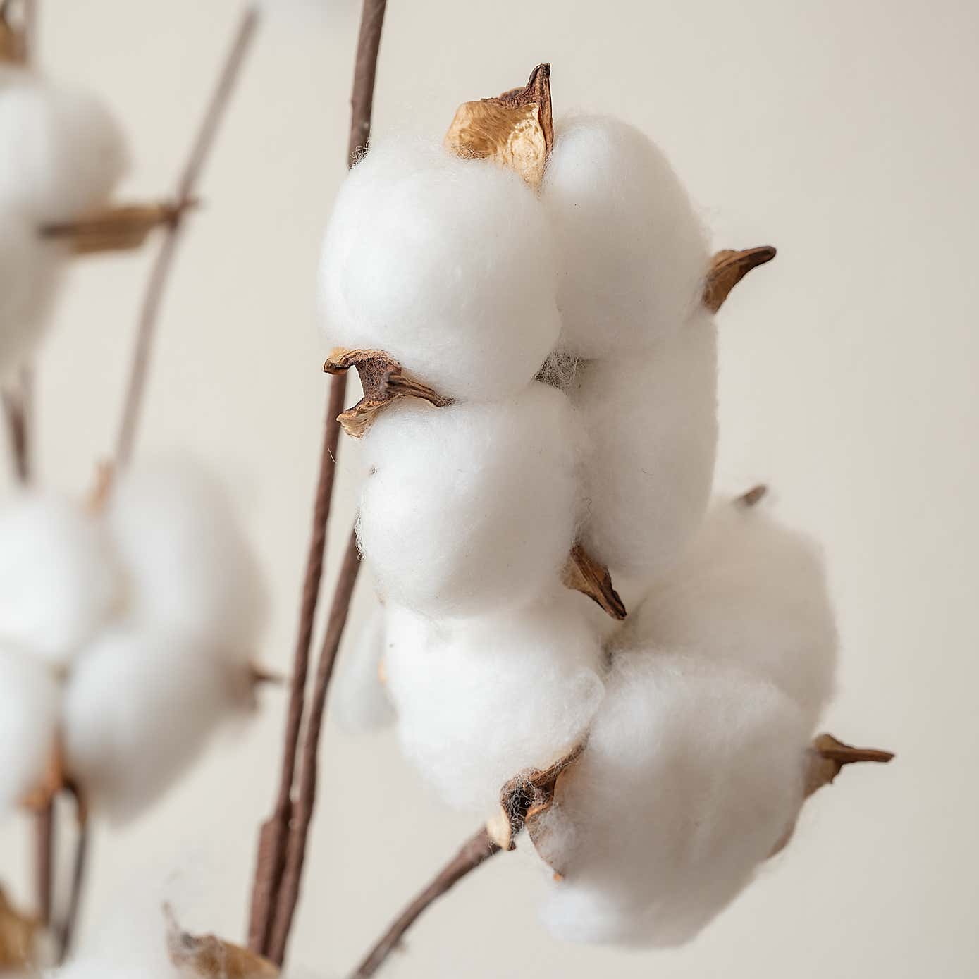 Artificial Set of 3  Natural Cotton Ball Branches