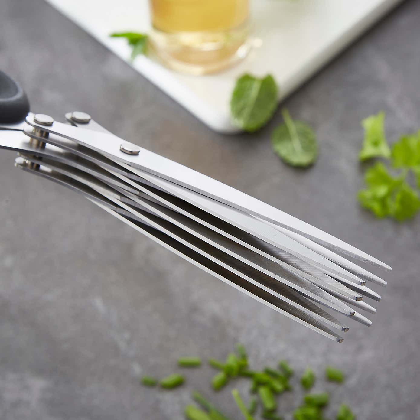 Professional Stainless Steel Herb Scissors