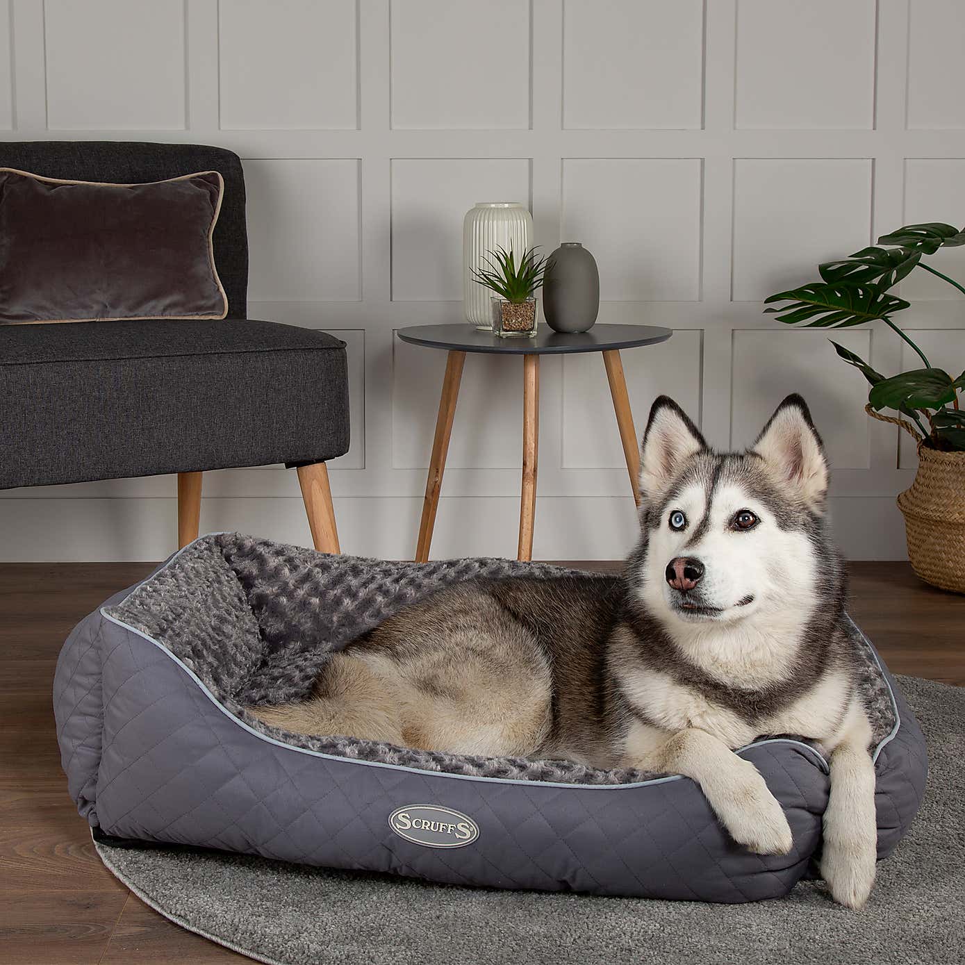 Scruffs Pet Wilton Box Bed
