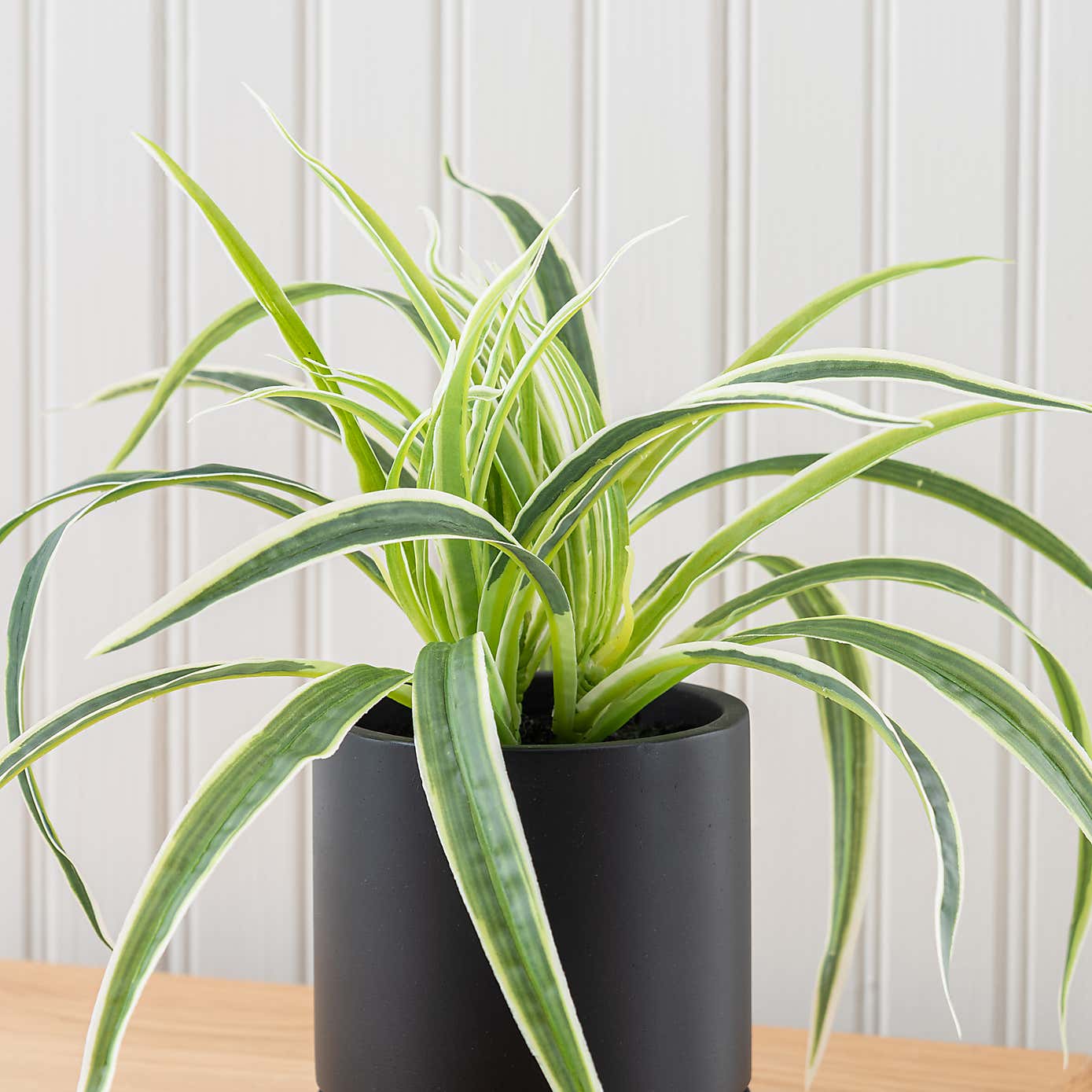 Artificial Spider Plant in Black Cement Plant Pot