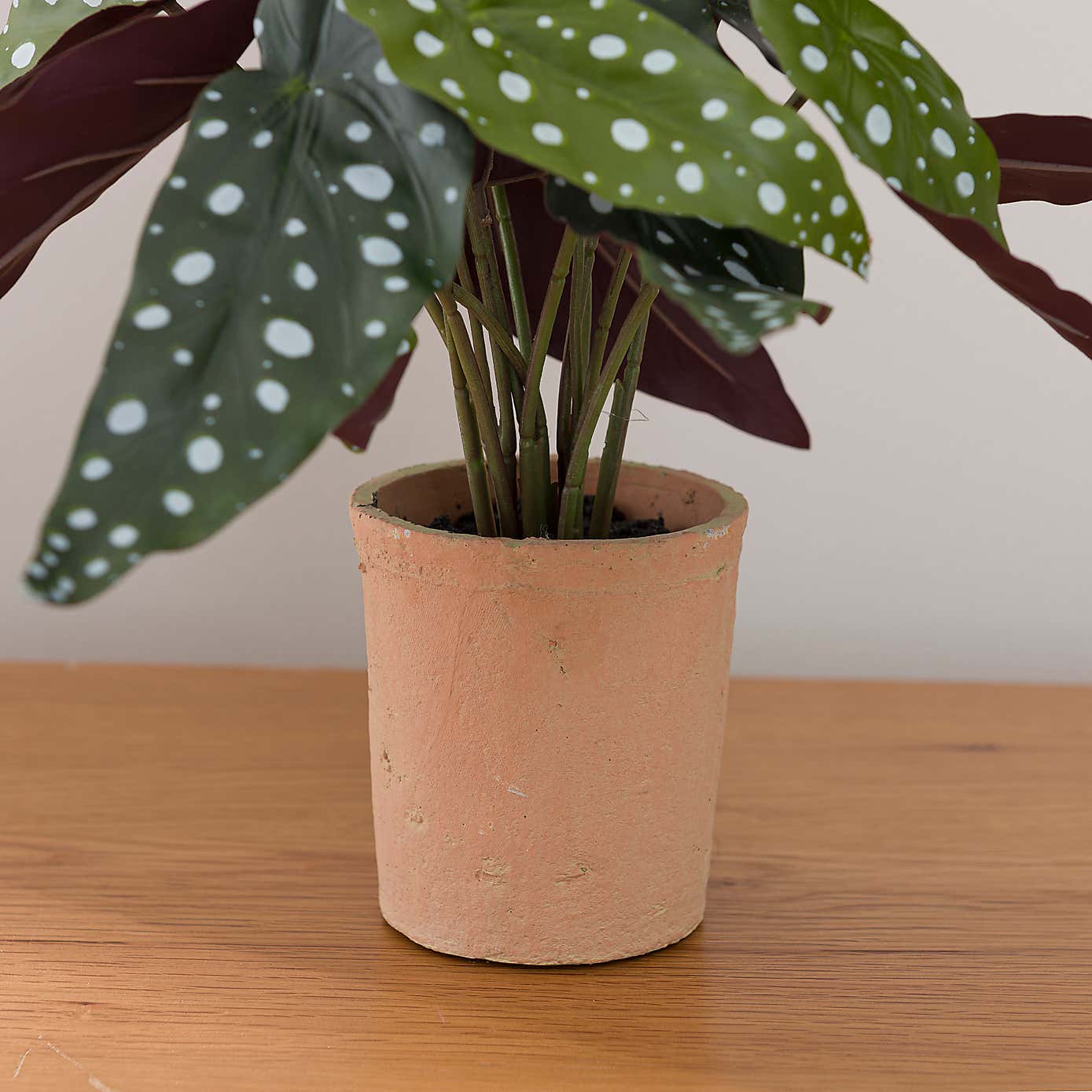 Artificial Polka Dot Begonia in Orange Cement Plant Pot