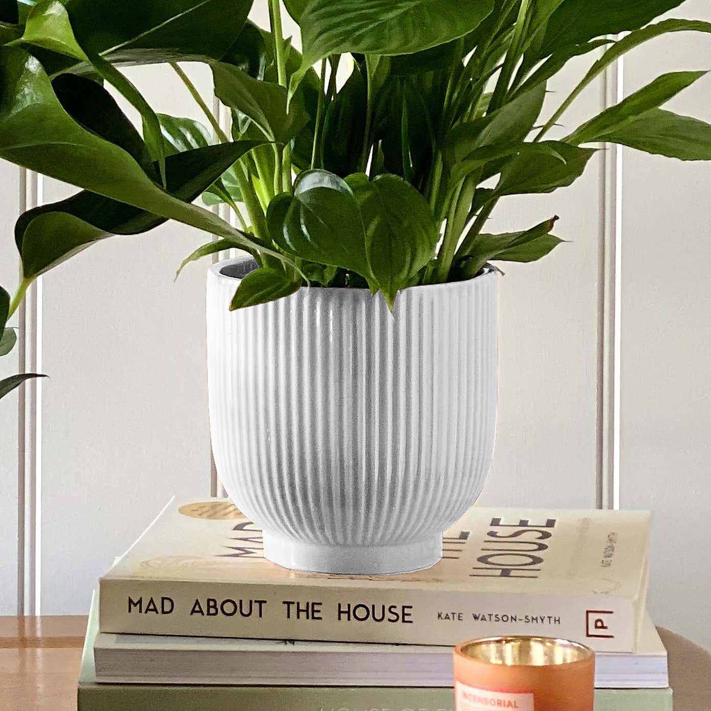 Beards & Daisies Air Purifying Pair Peace Lily and Peach Anthurium House Plant in Ribbed Pot