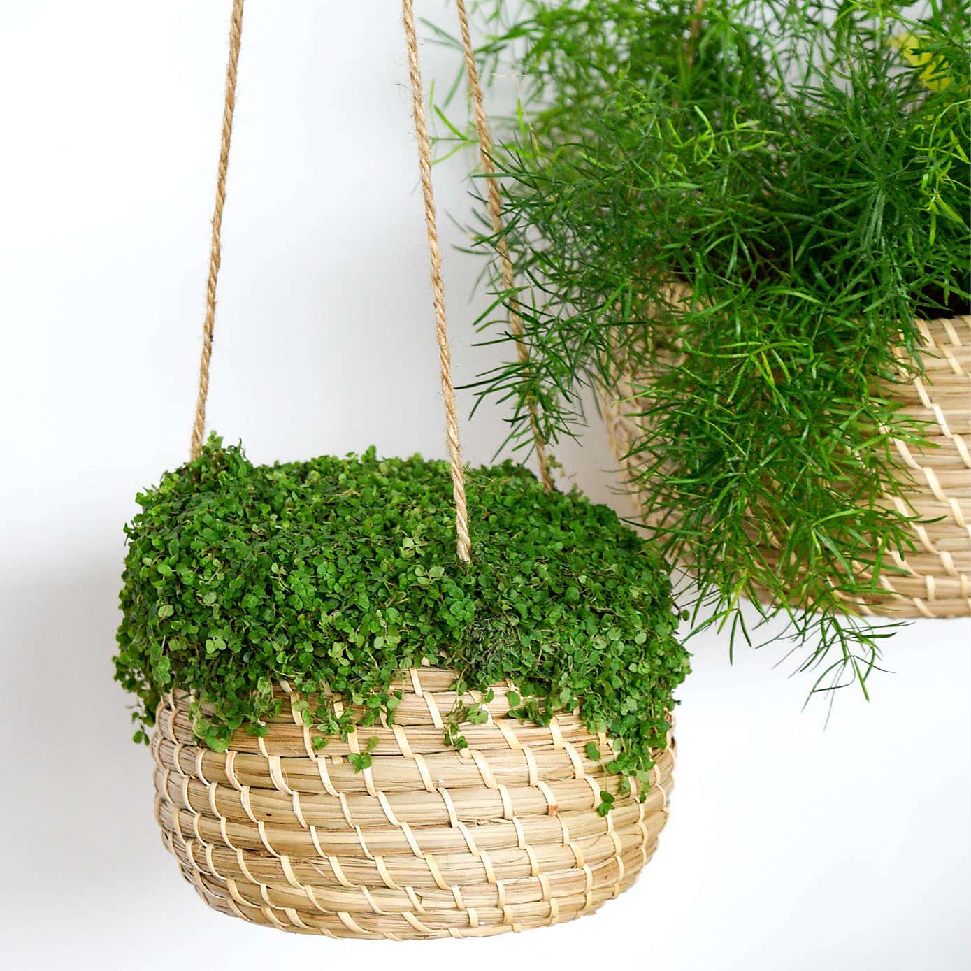 Set of 2 Hanging Seagrass Planters