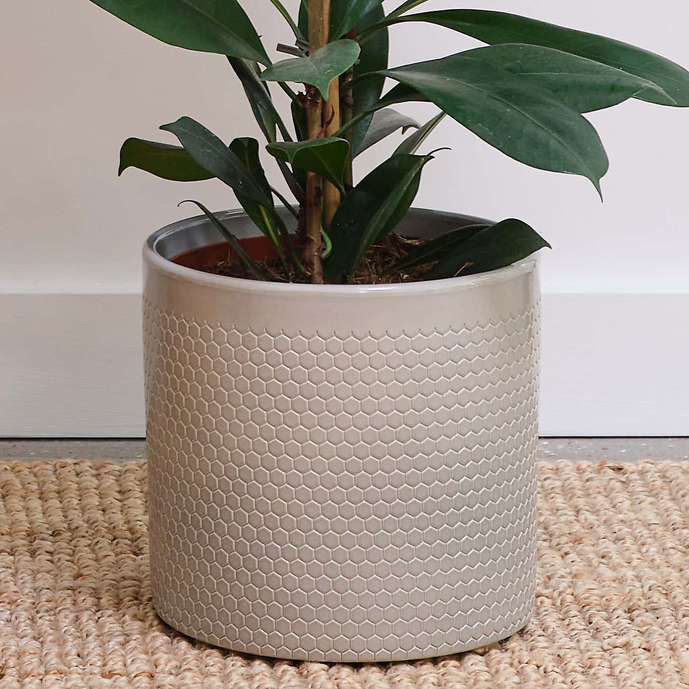 Beards and Daisies Capri Plant Pot