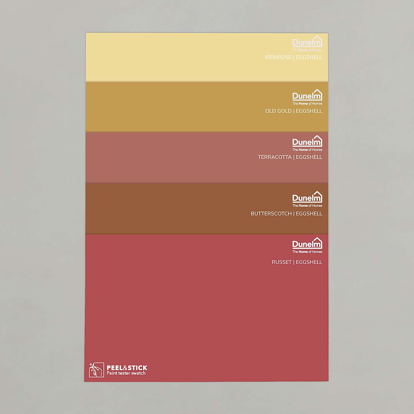 Eggshell Warm Tones Paint Sample Bundle