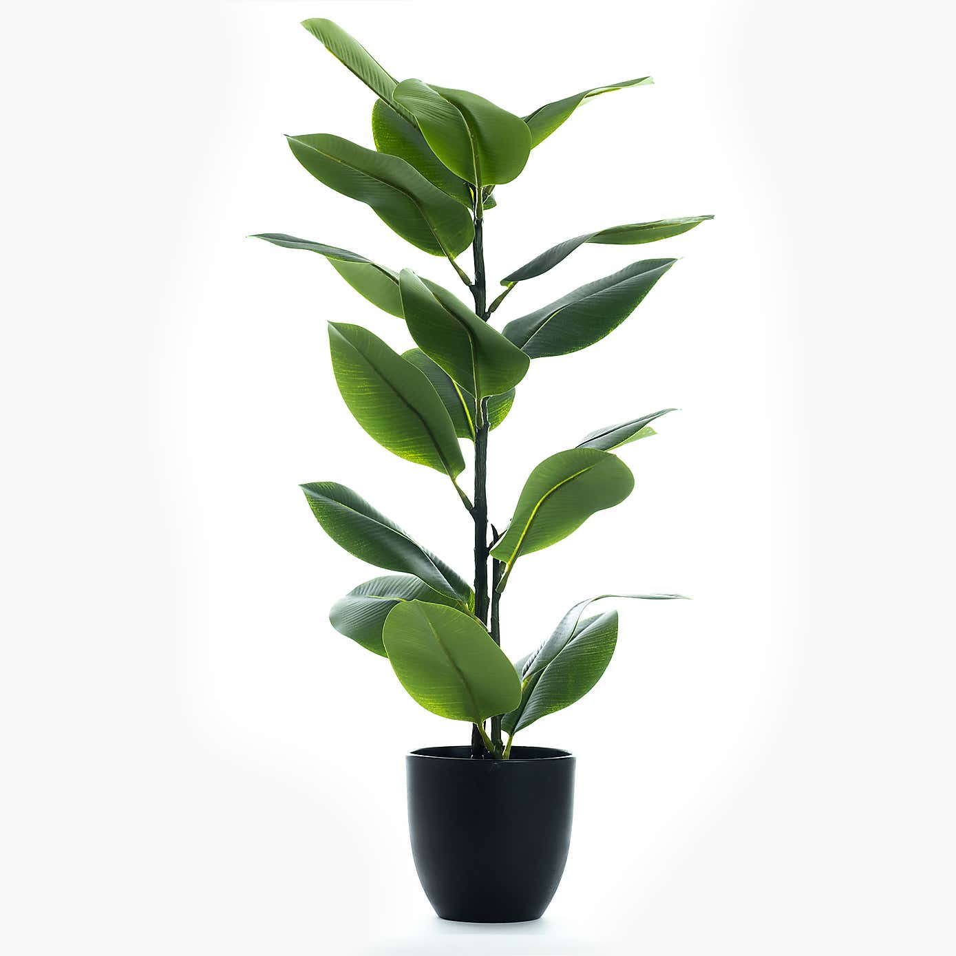 Artificial Real Touch Rubber Tree in Black Plastic Plant Pot