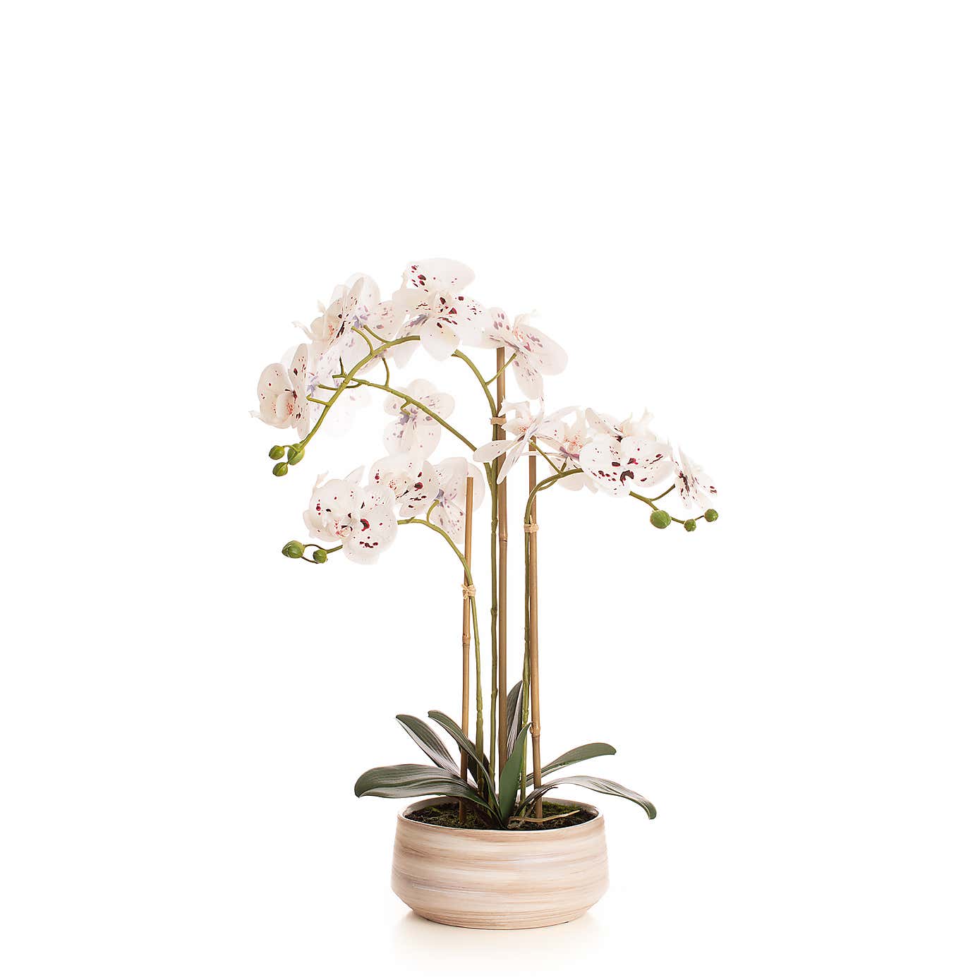 Artificial White Speckled Orchid in Beige Ceramic Plant Pot