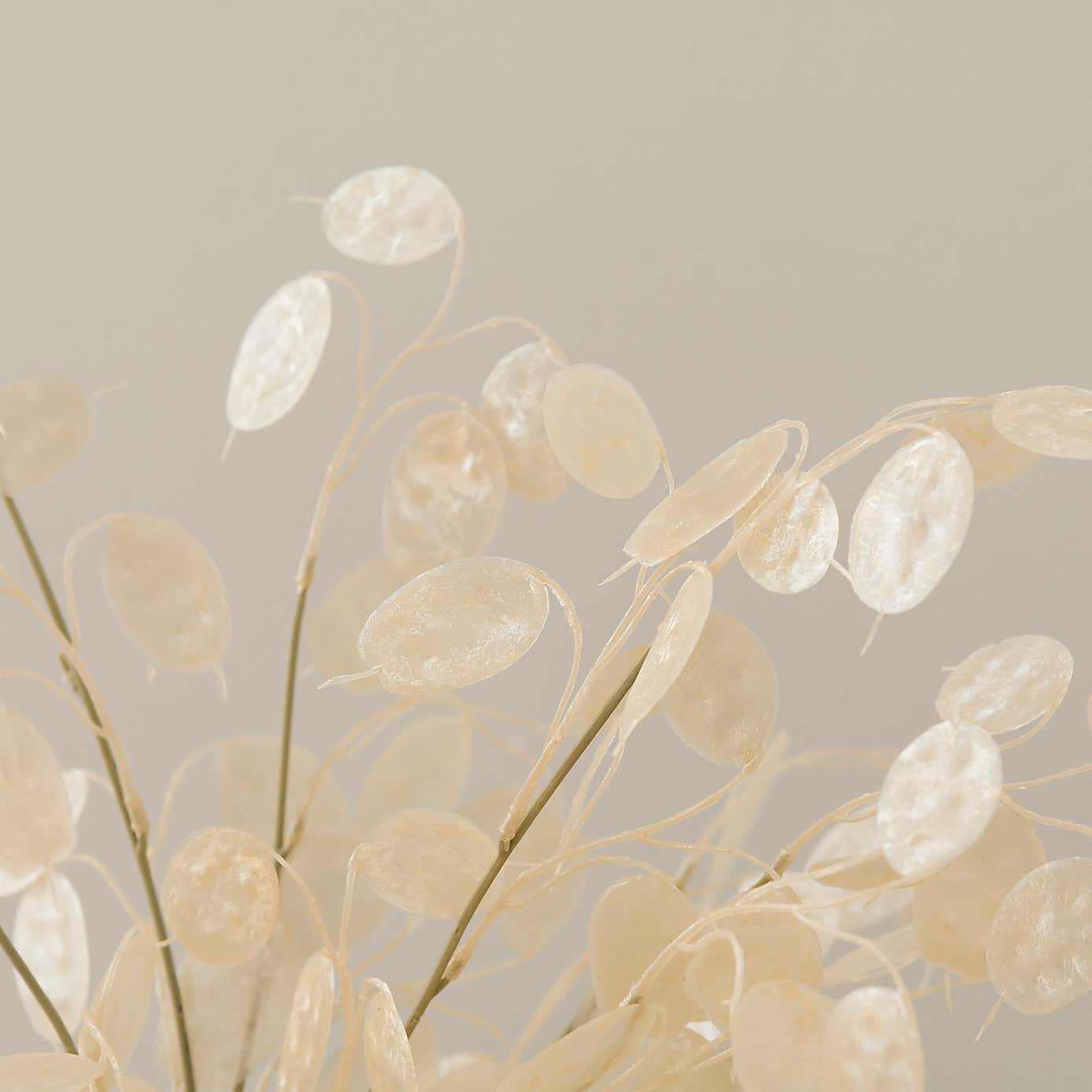 Artificial Honesty Spray Bouquet in Ribbed White Ceramic Vase