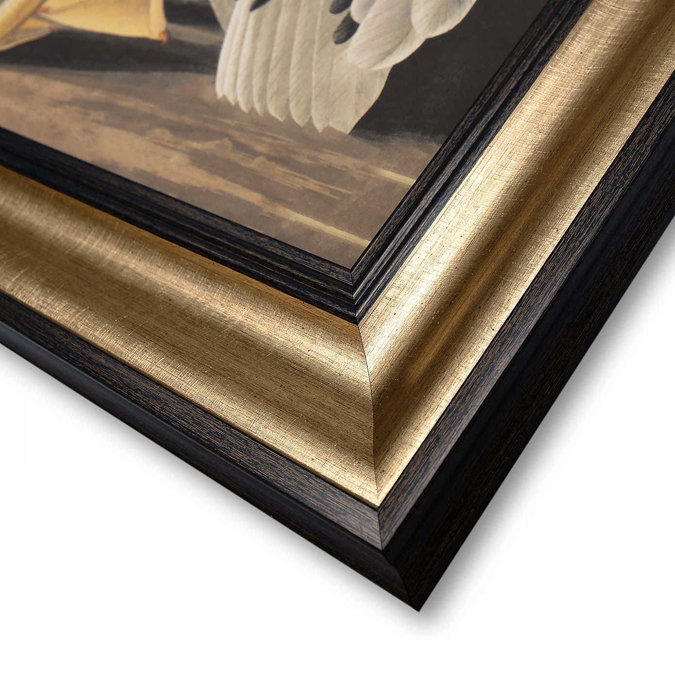 Cedar & Sage White Pelican Framed Canvas