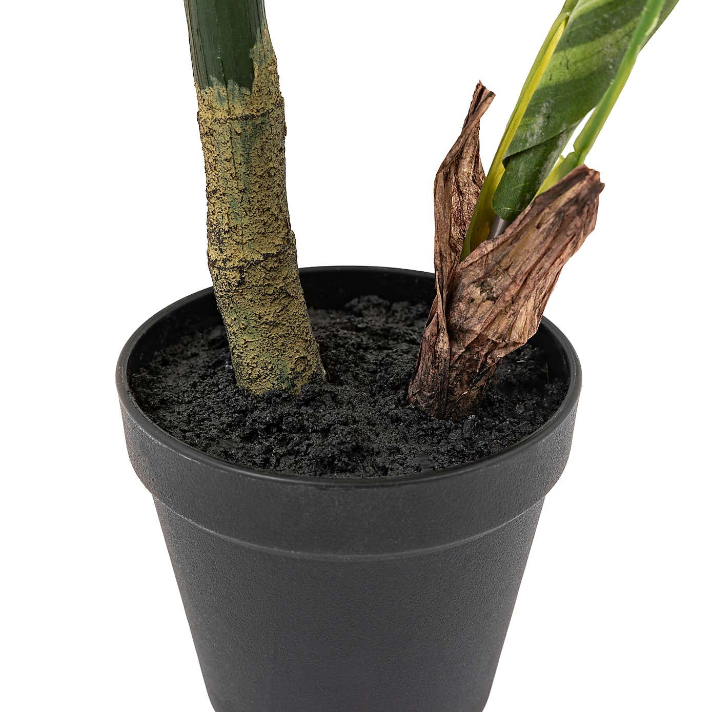 Artificial Small Calathea Leaf Tree in Black Plant Pot