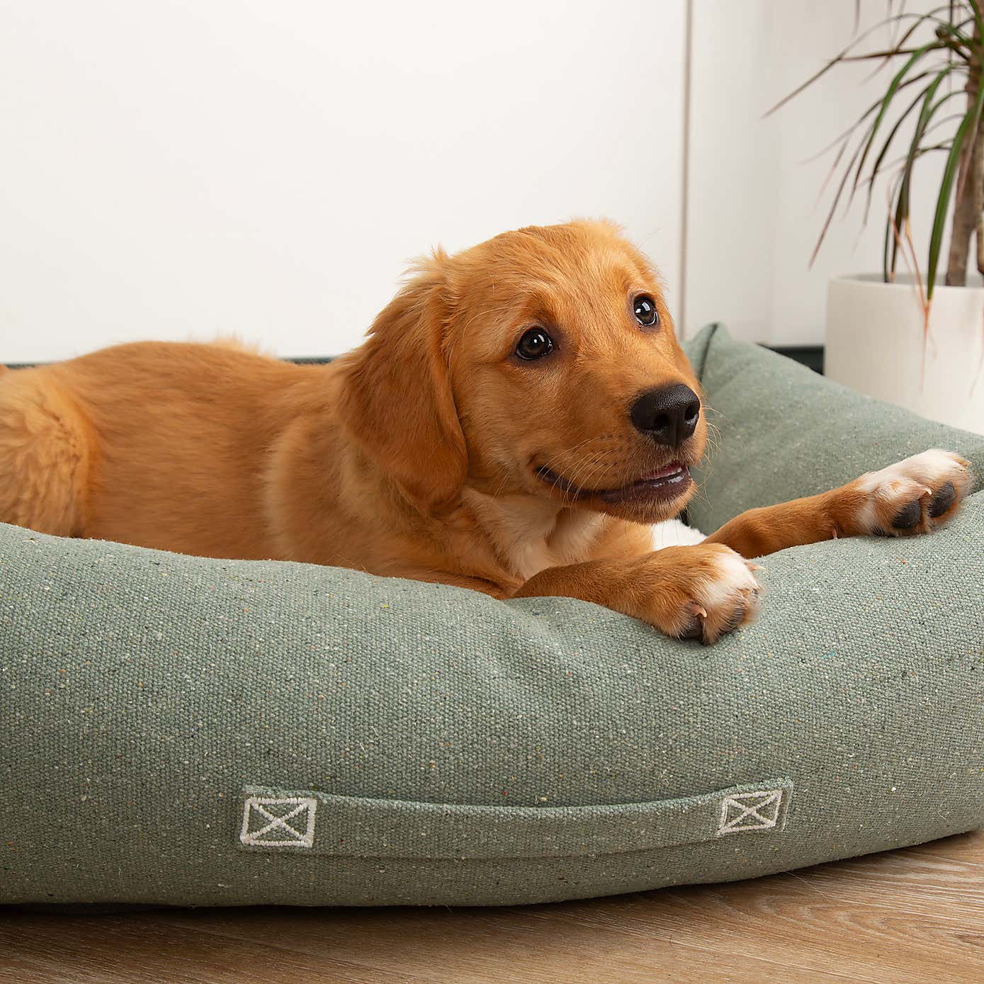 Scruffs 100% Recycled Eden Dog Box Bed