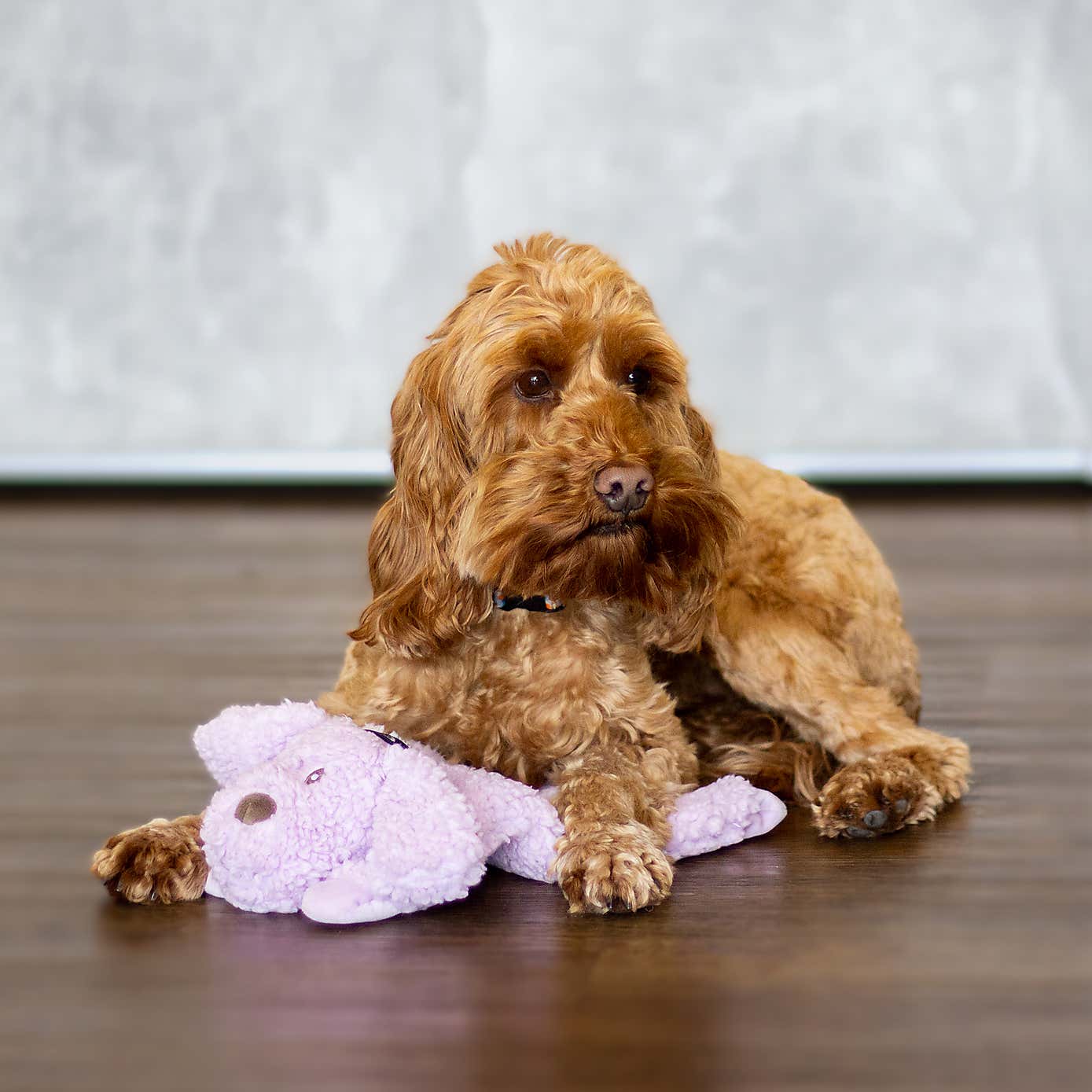 Aromadog Calm Fleece Laying Down Dog