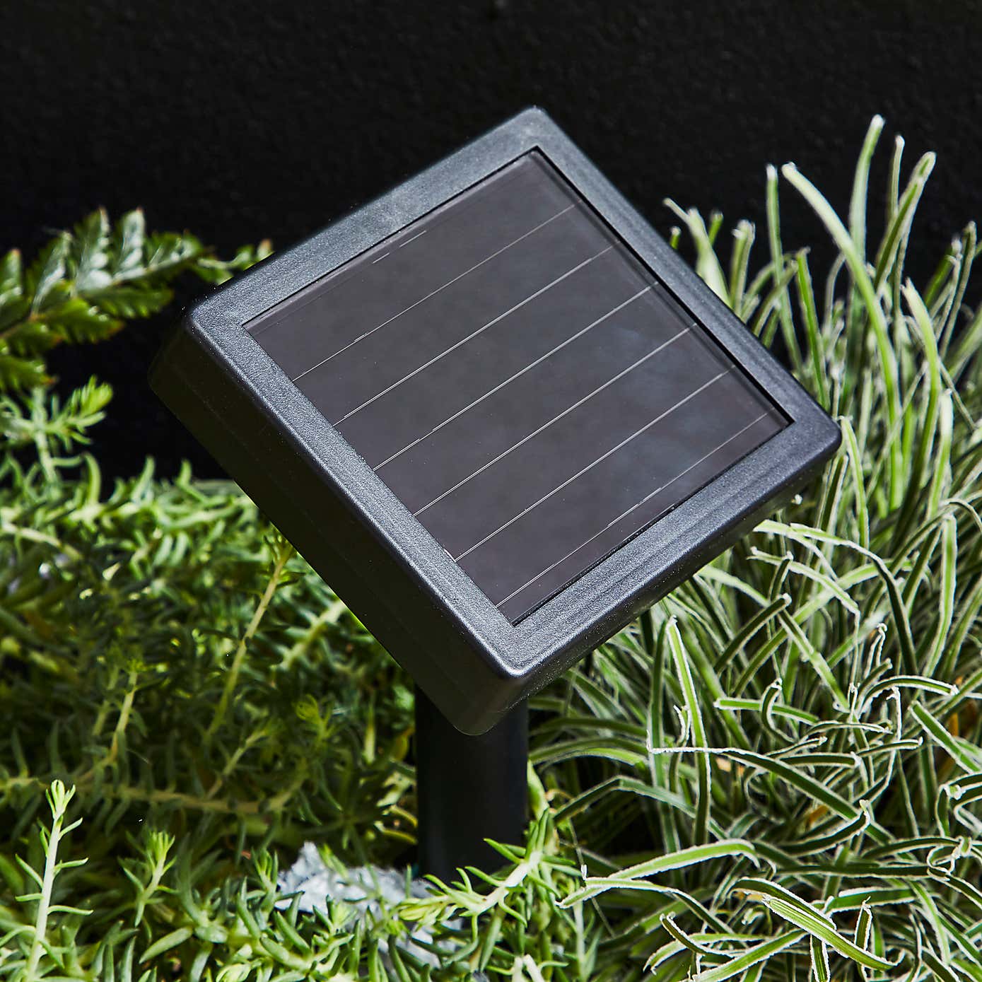 Starburst Solar Outdoor Stake Lights