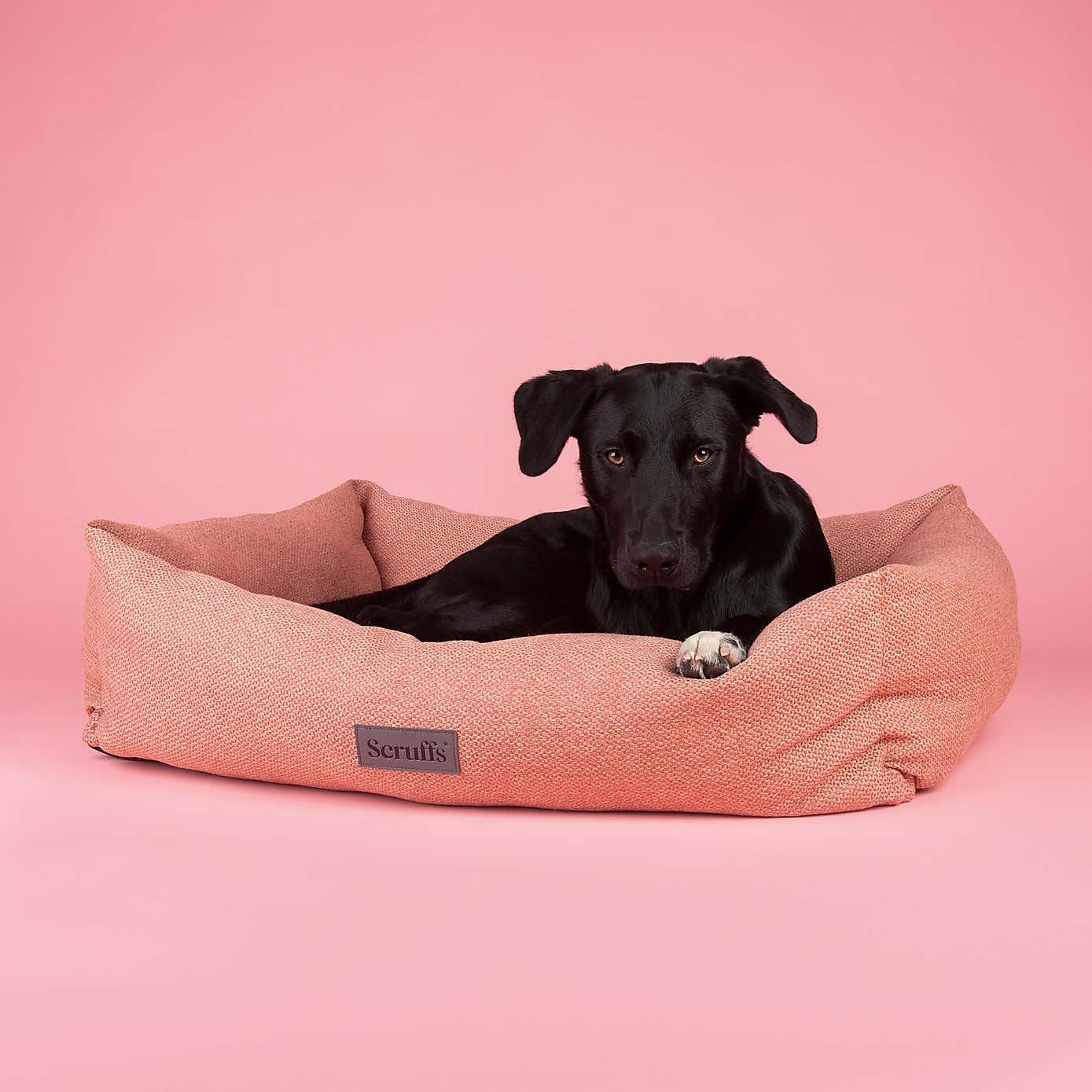 Scruffs Seattle Box Bed