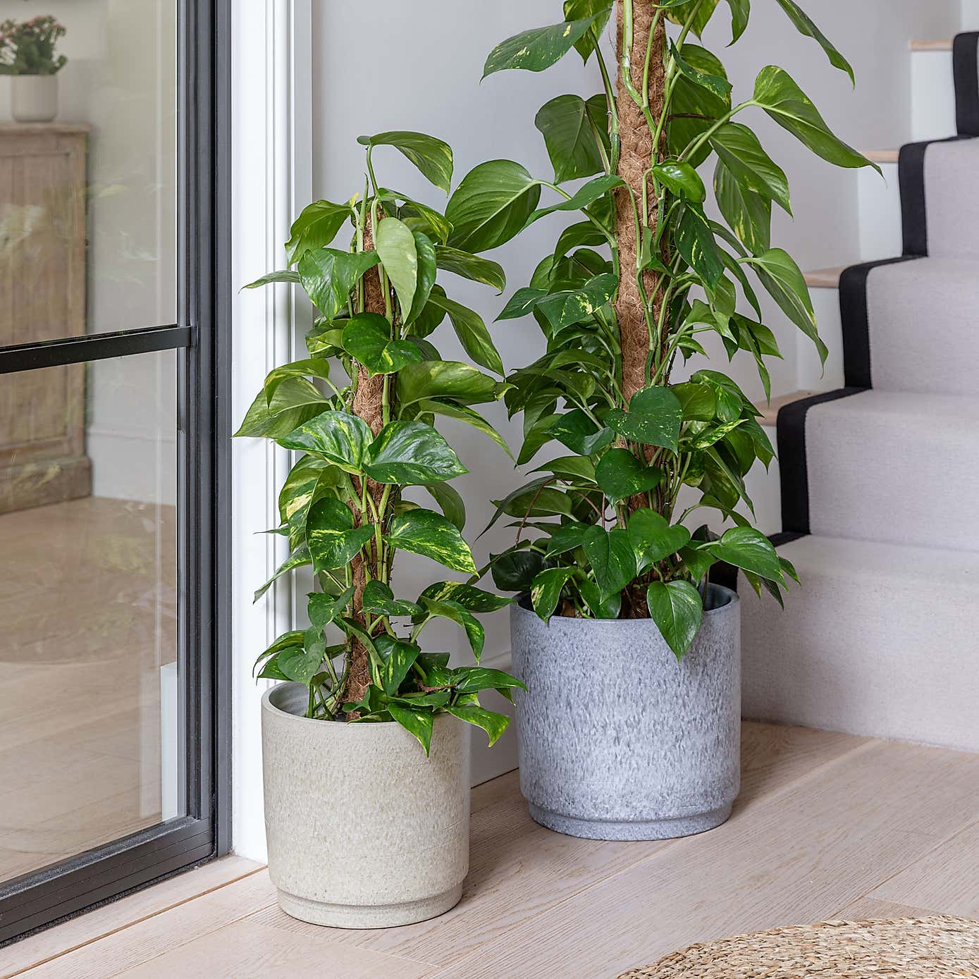 Wesley Marble Terracotta Plant Pot