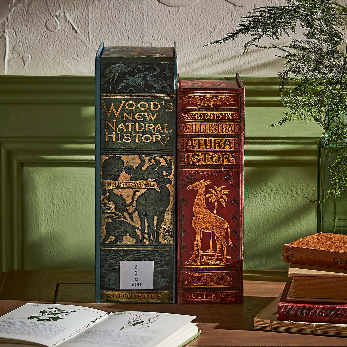 Set of 2 Storage Books